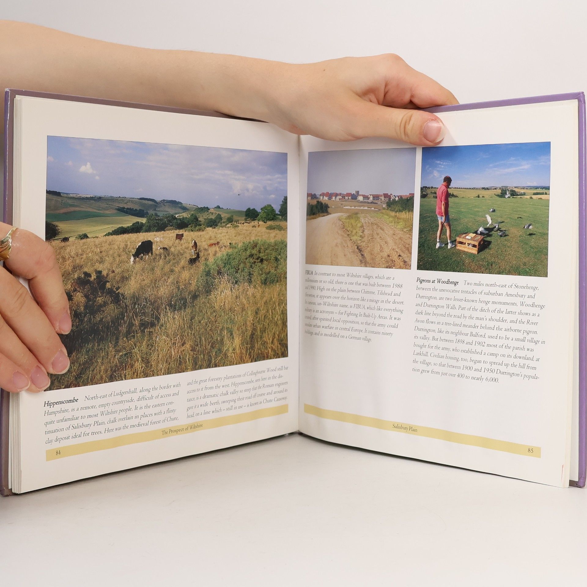 John H. Chandler Books On Wiltshire: The Prospect of Wiltshire