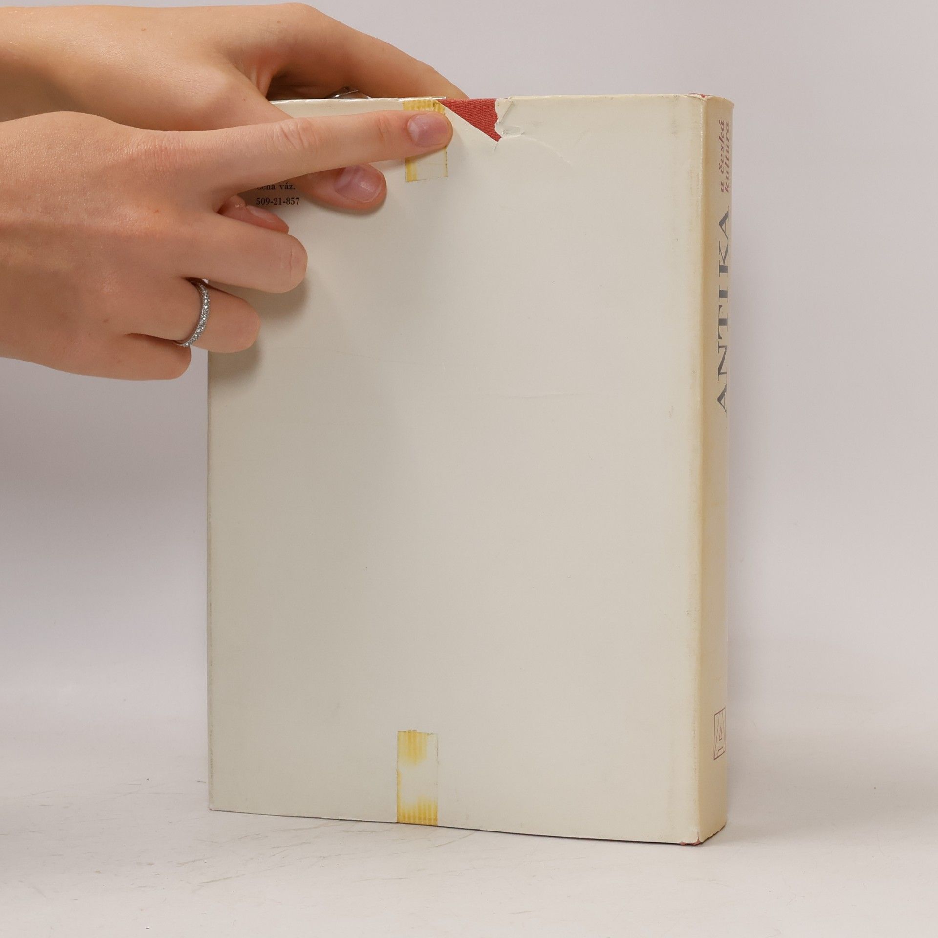 Autores varios Antika a česká kultura