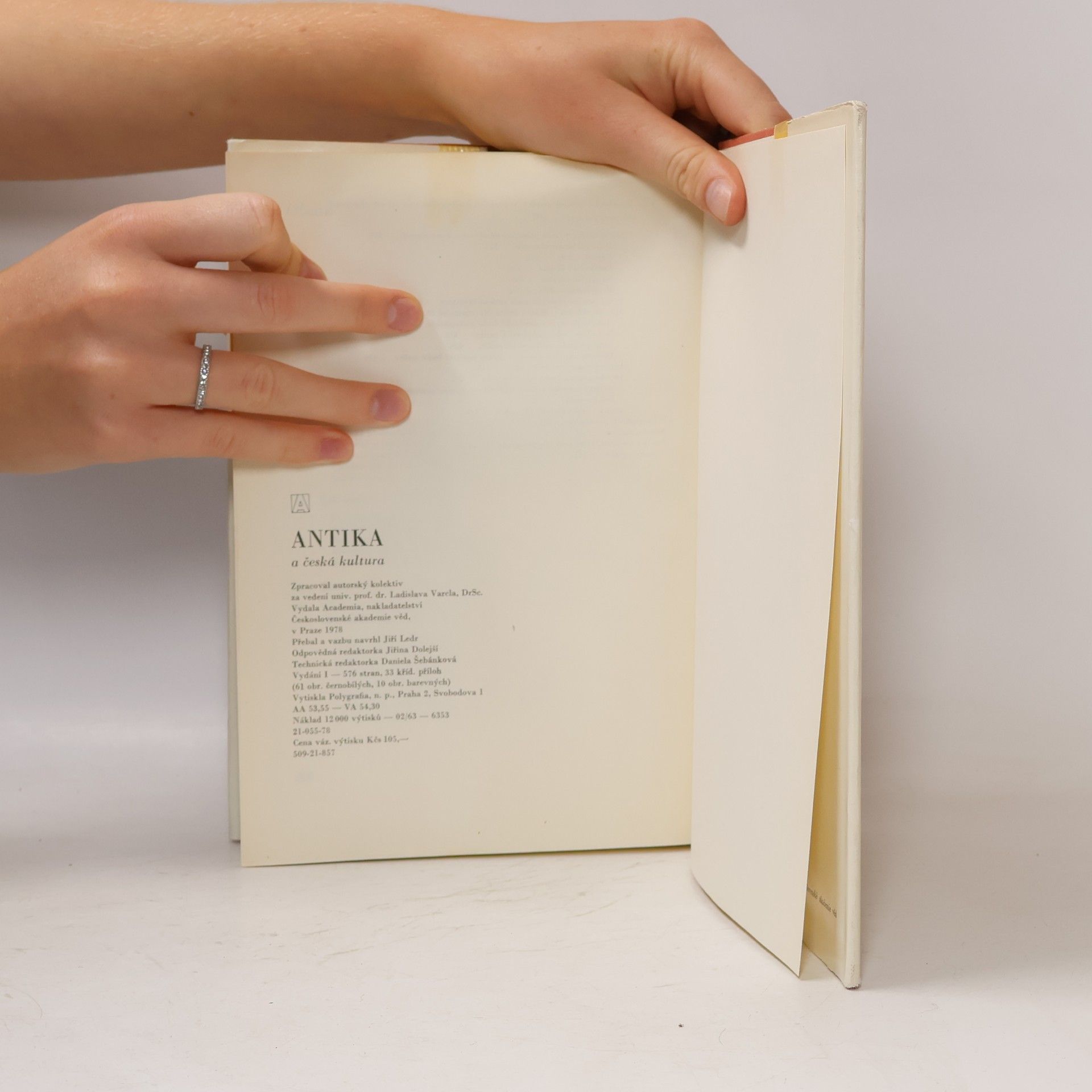 Autores varios Antika a česká kultura