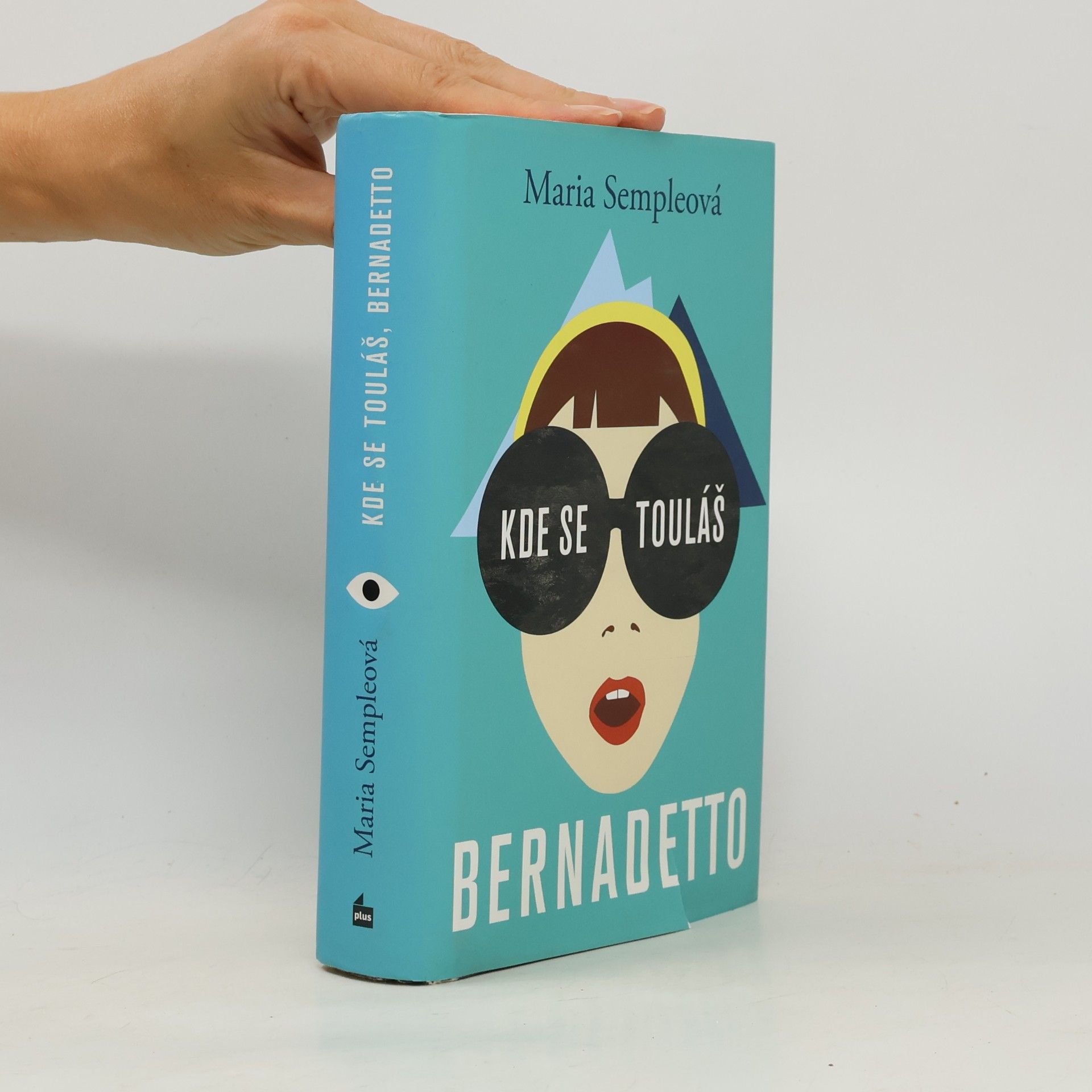 Maria Semple Kde se touláš, Bernadetto