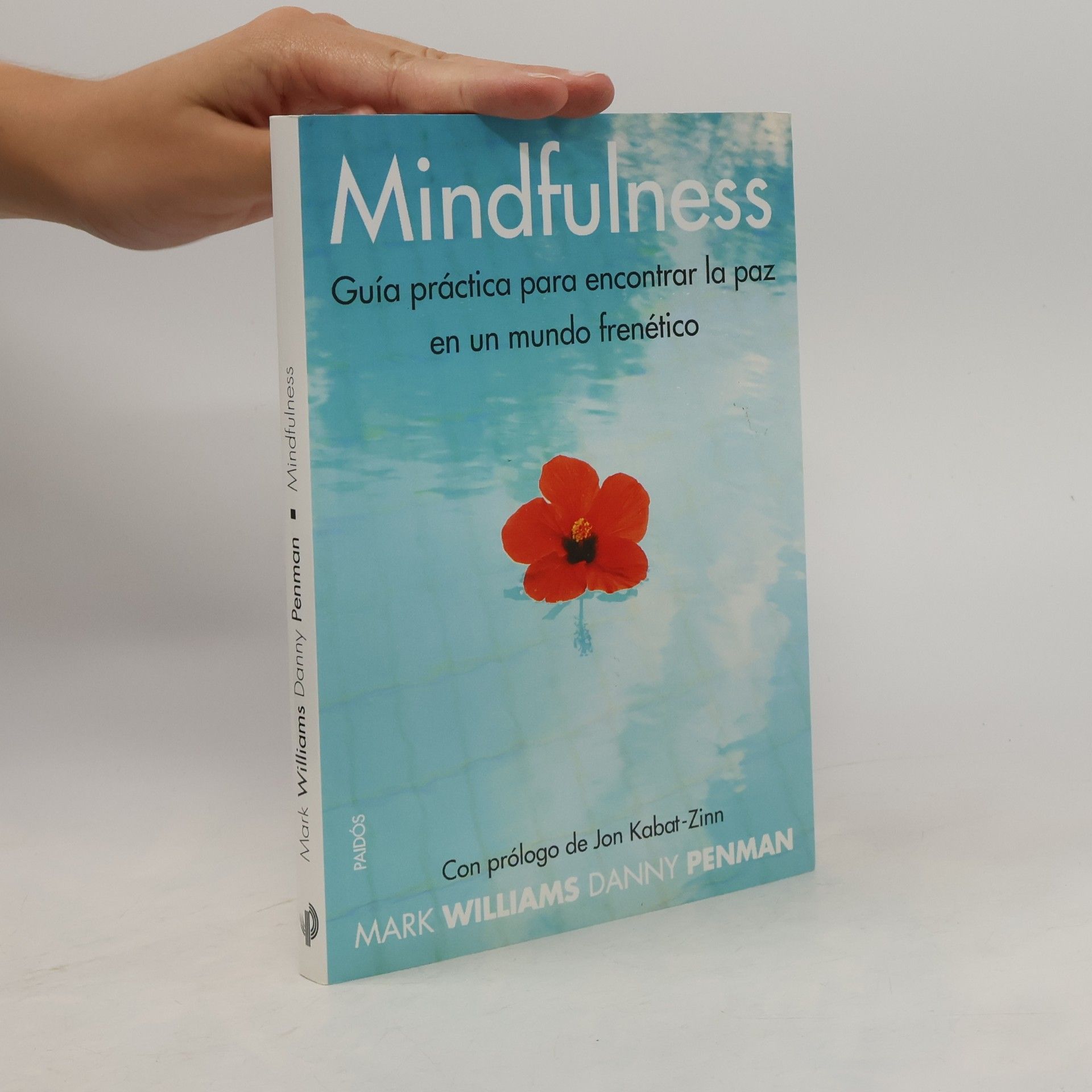 Danny Penman Mindfulness. Guía práctica para encontrar la paz en un mundo frenético