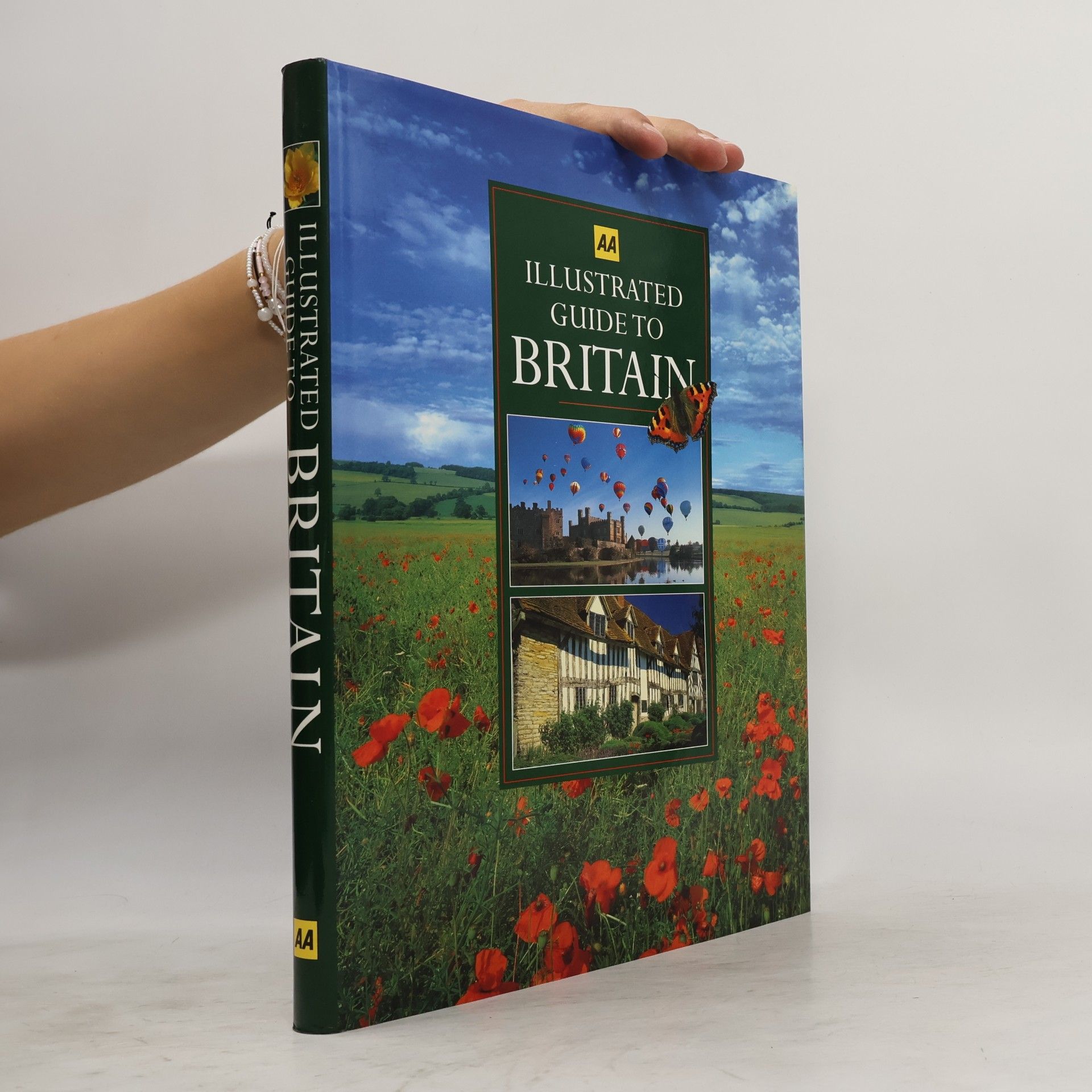 Roy Hay Illustrated Guide to Britain