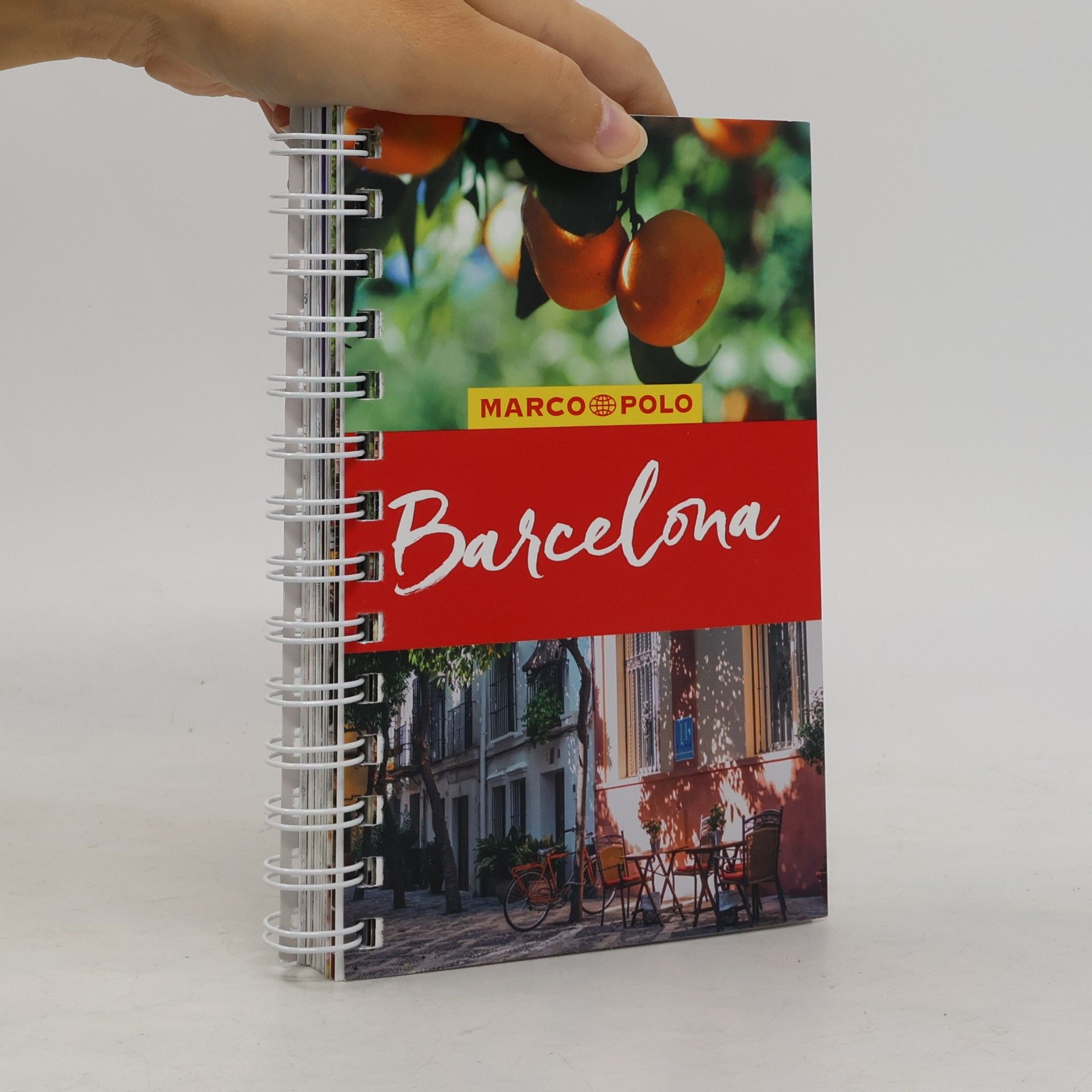 Dorothea Massmann Barcelona