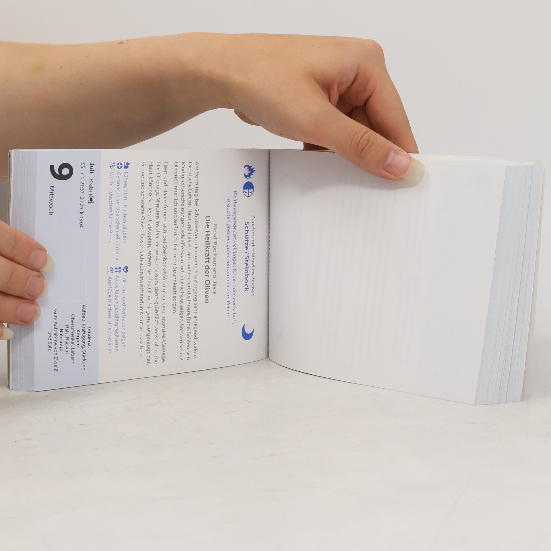 Beatrix Braukmüller Leben mit dem Mond Tagesabreißkalender 2025 - Praktische Tipps Tag für Tag
