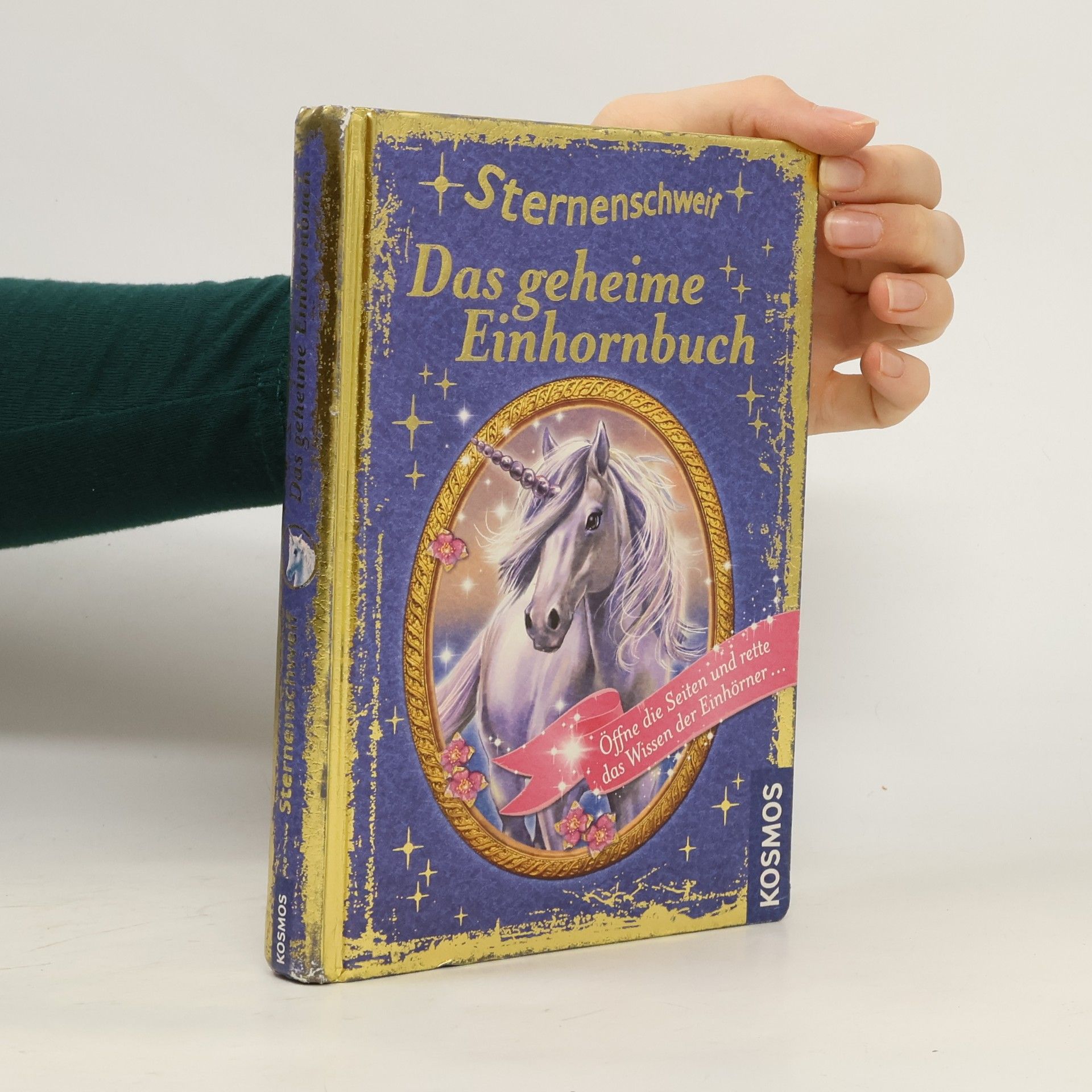 Anne Scheller Sternenschweif - das geheime Einhornbuch