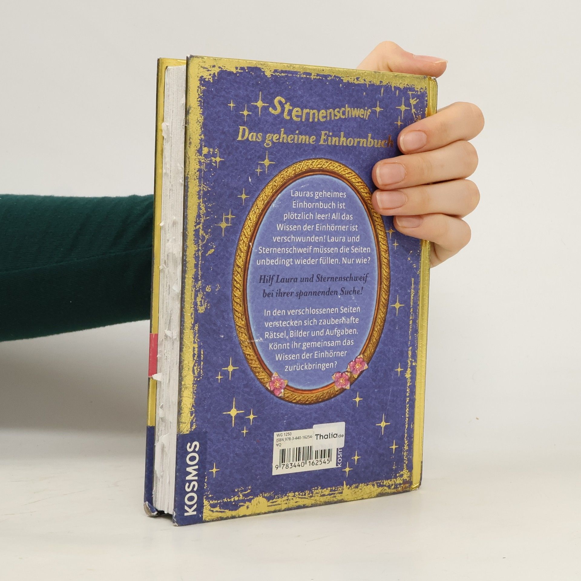 Anne Scheller Sternenschweif - das geheime Einhornbuch