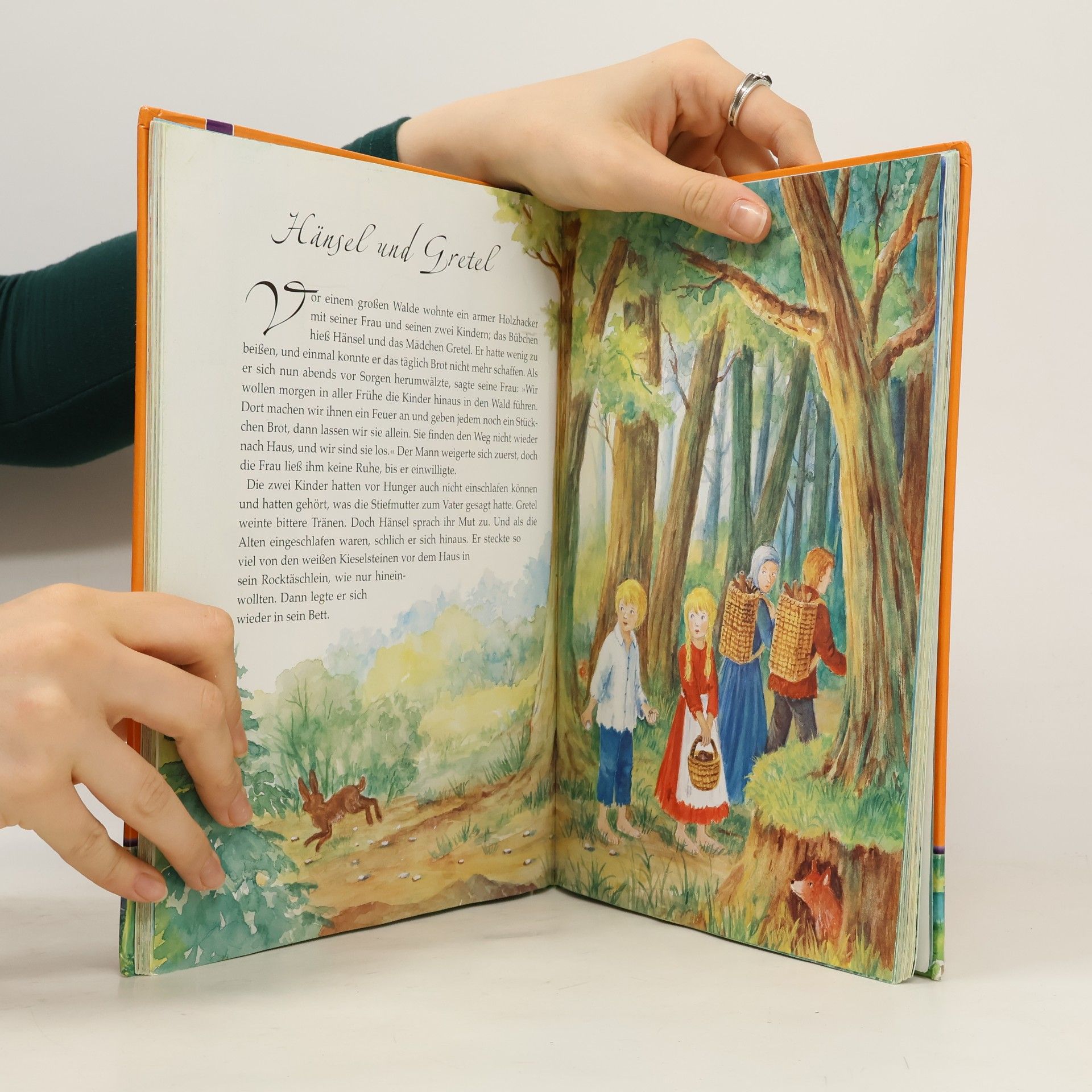 Dagmar Kammerer Mein großes Märchenbuch