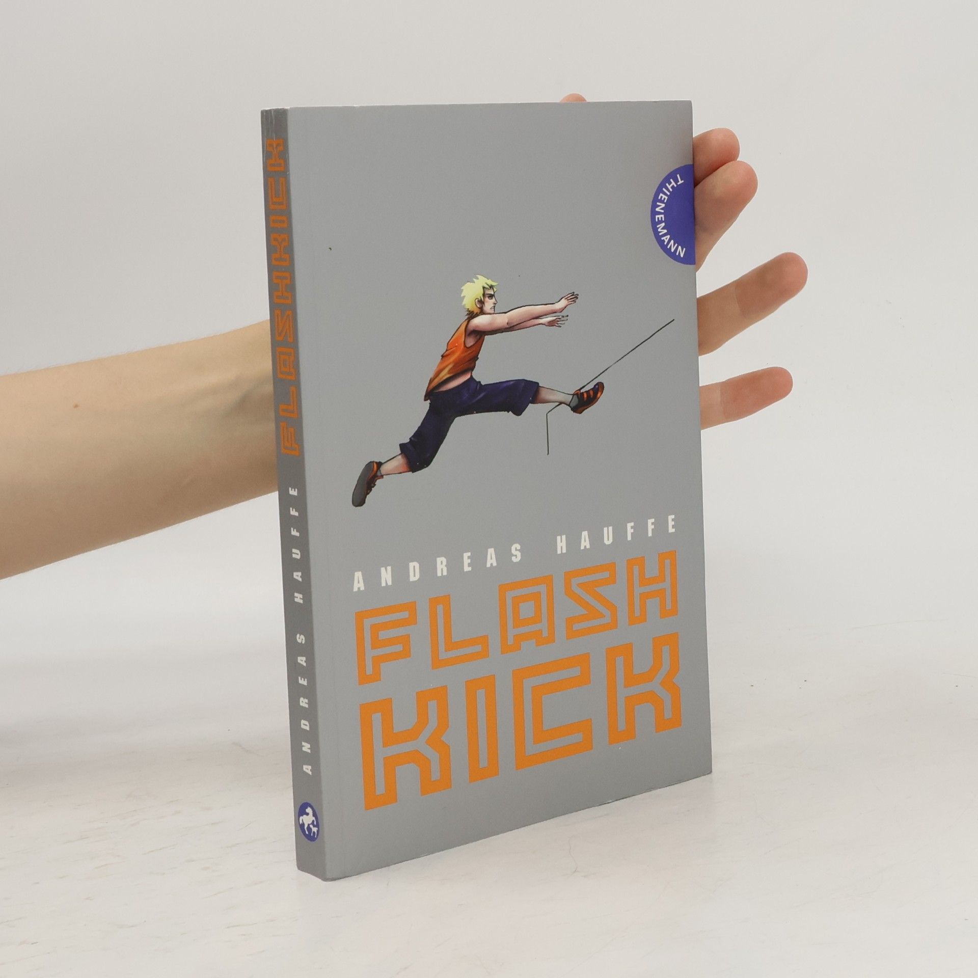 Andreas Hauffe Flashkick