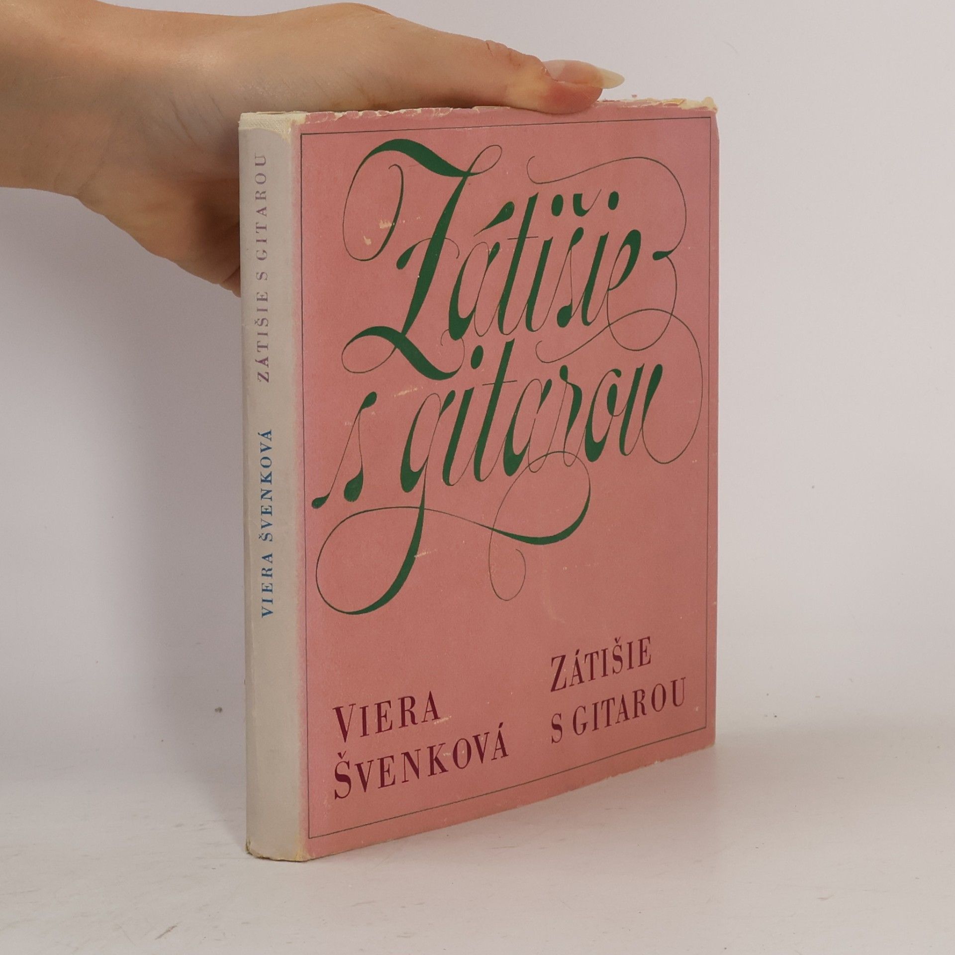 Viera Švenková Zátišie s gitarou