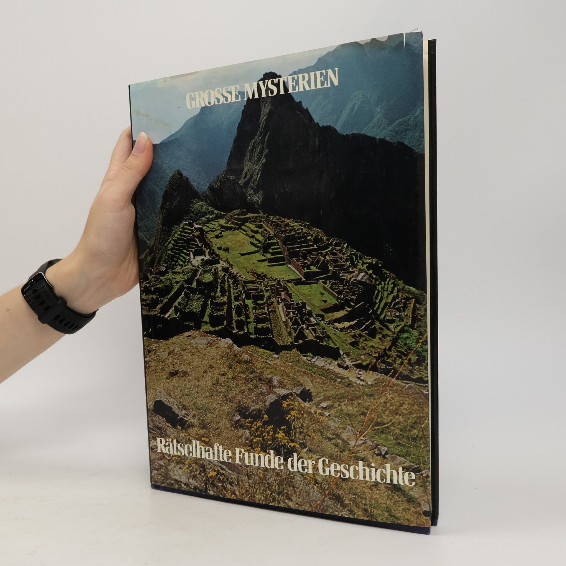 Beppie Harrison Grosse Mysterien. Rätselhafte Funde der Geschichte