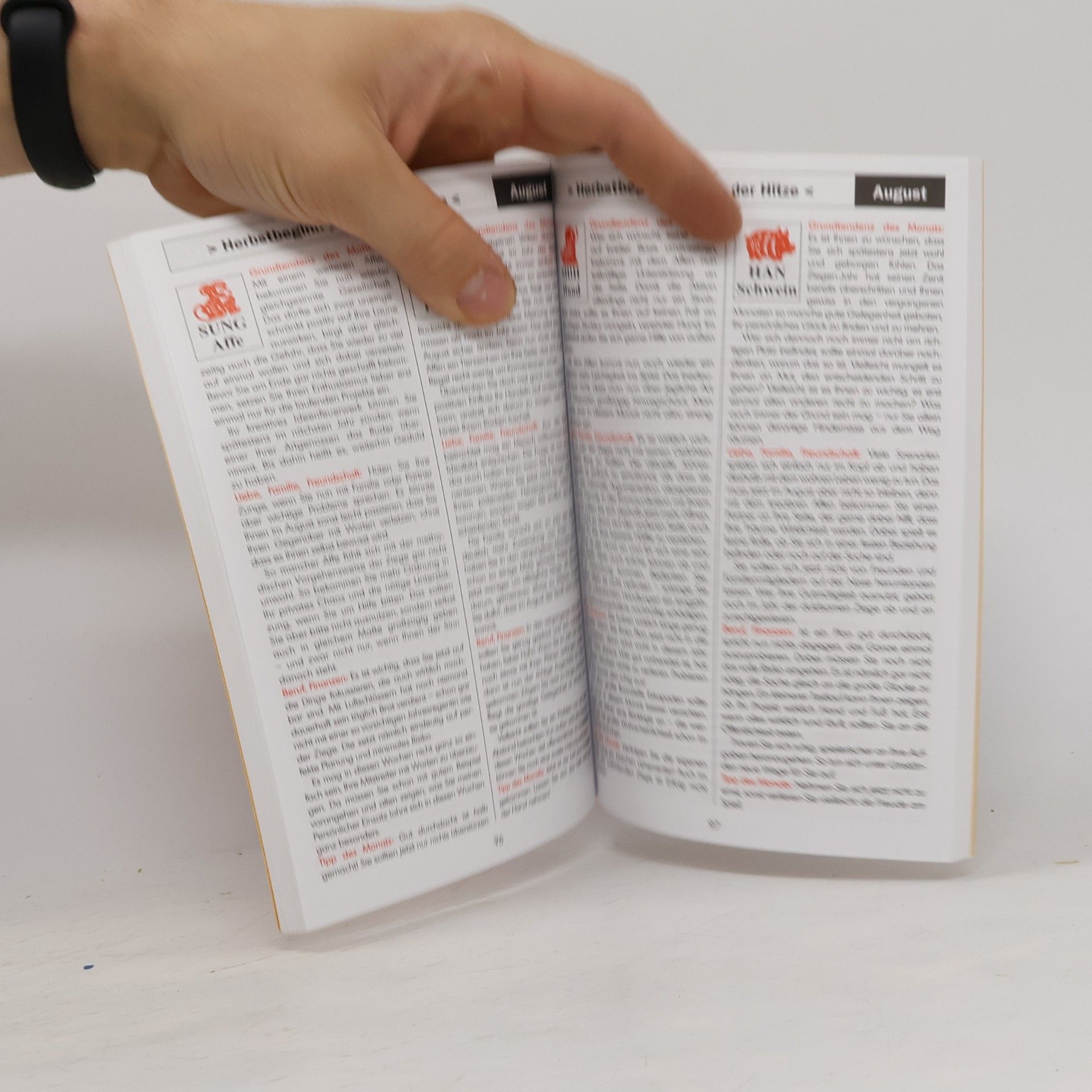 kolektiv Ihr Chinnesisches Horoskop 2015