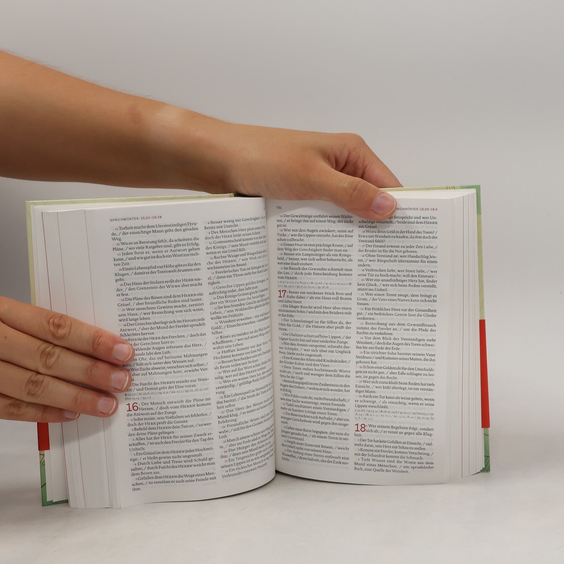 Die Bibel
