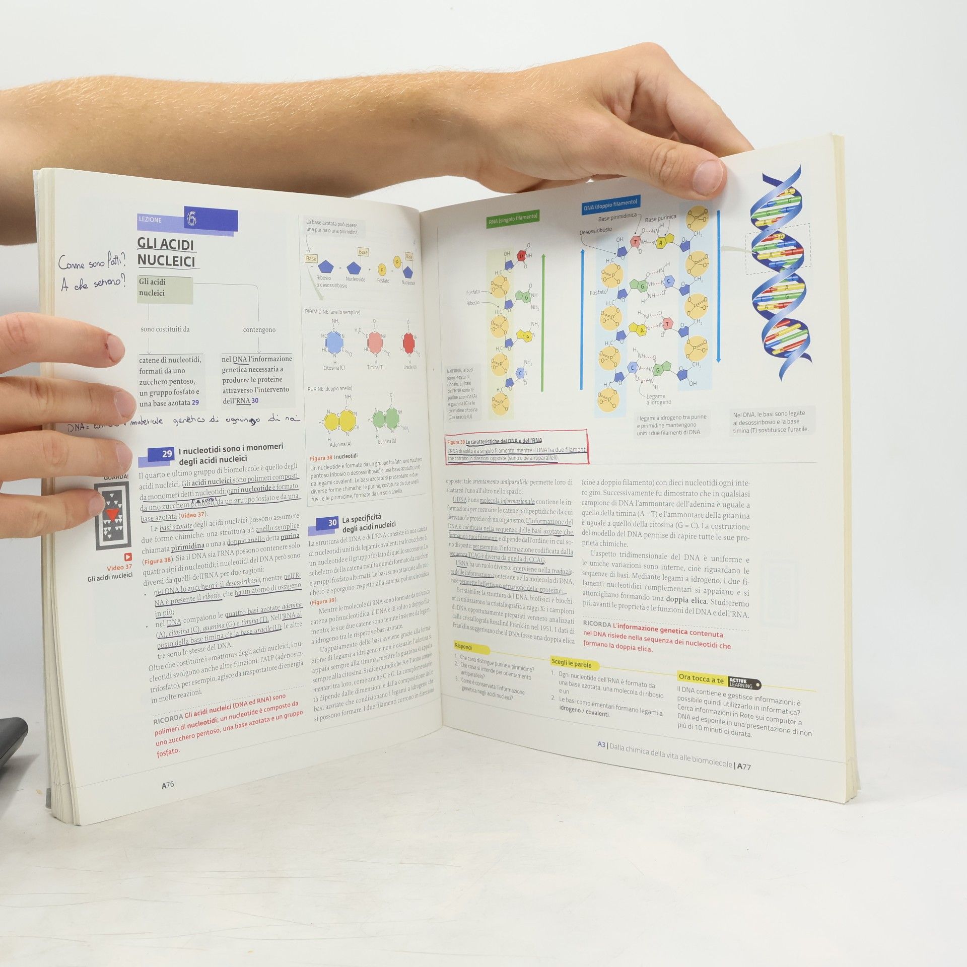 David E. Sadava La nuova biologia.blu