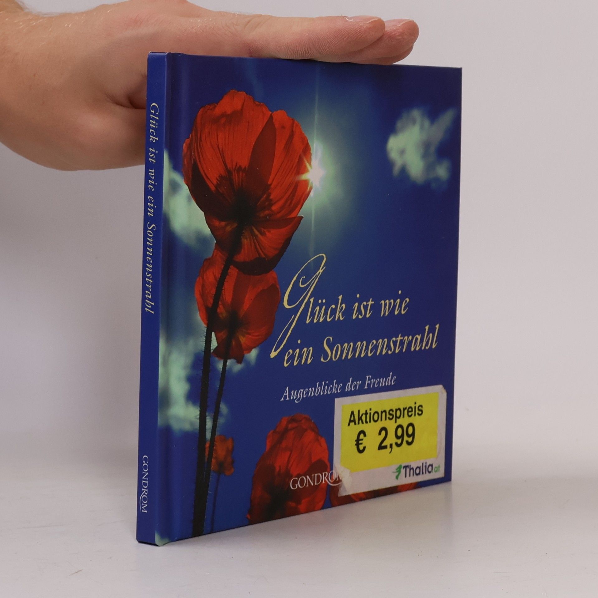 Kerrin Zielke Glück ist wie ein Sonnenstrahl