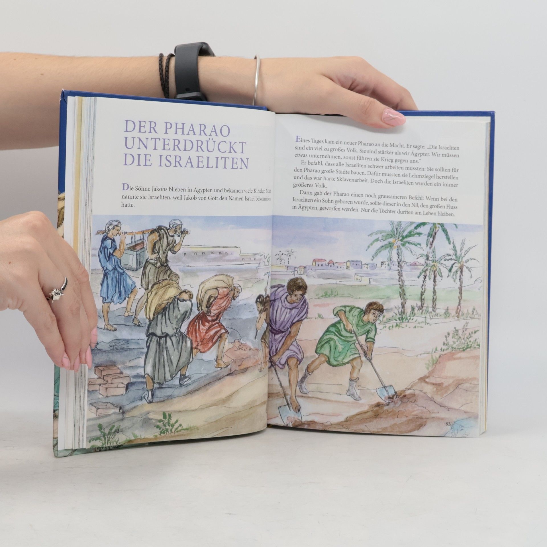 AA.VV. Die Bibel in kurzen Erzählungen