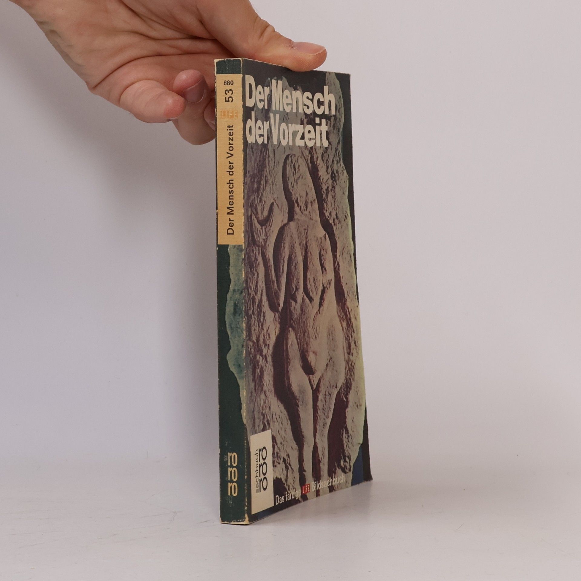 Francis Clark Howell Der Mensch der Vorzeit