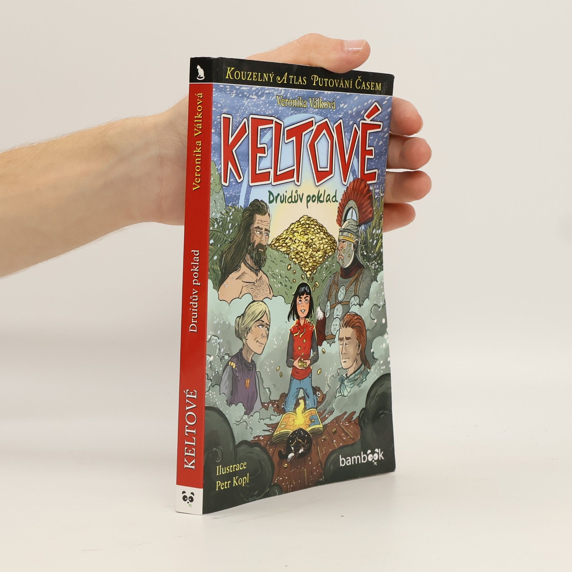 Keltové. Druidův poklad