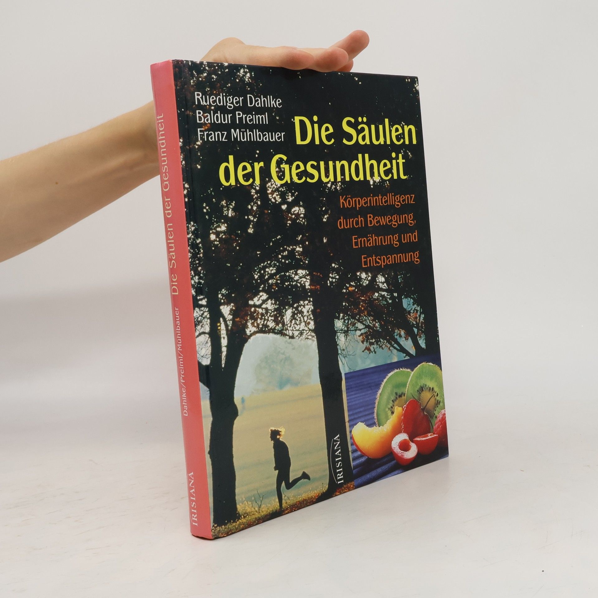 Ruediger Dahlke Die Säulen der Gesundheit