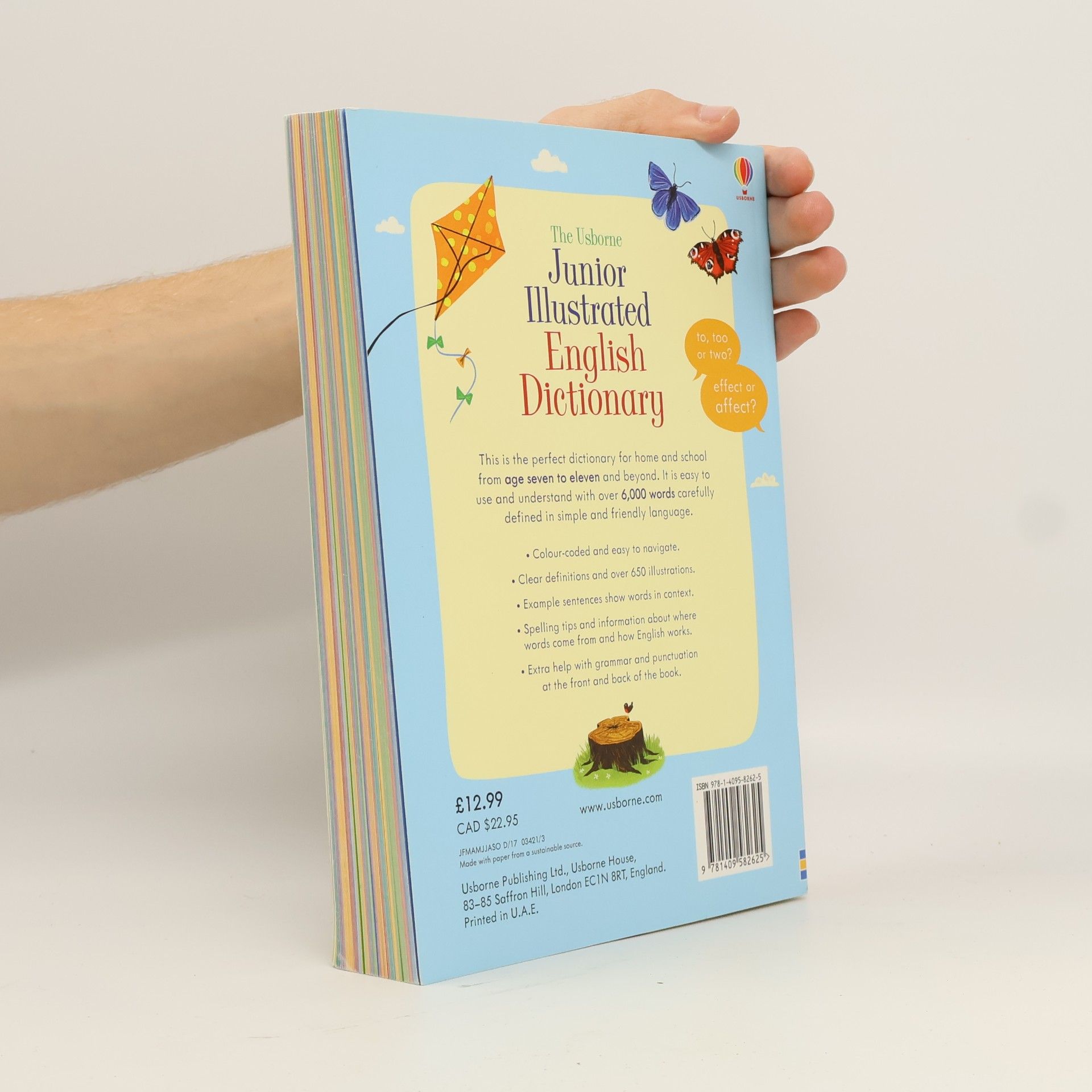 Felicity Brooks Junior Illustrated English Dictionary