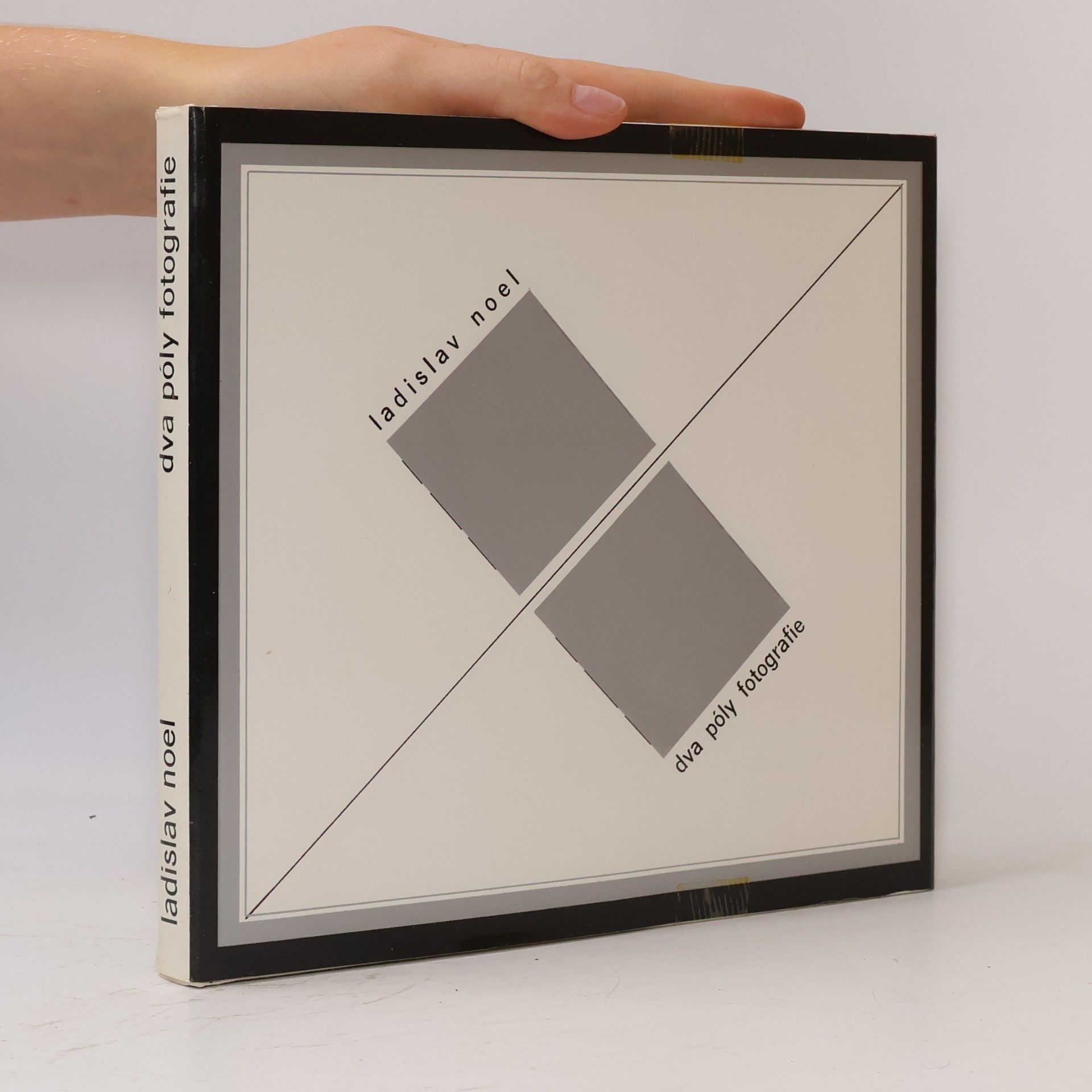 Ladislav Noel Dva póly fotografie