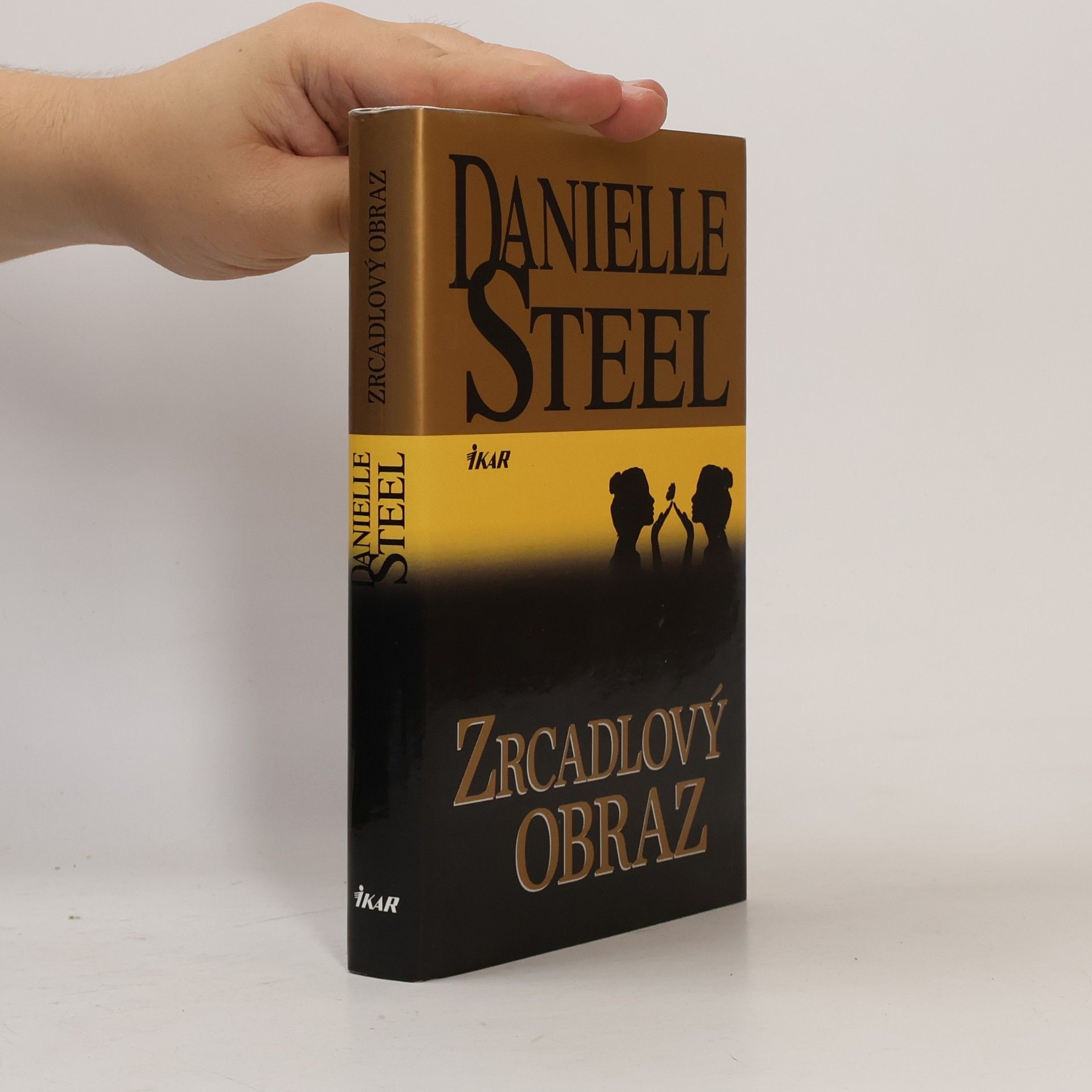 Danielle Steel Zrcadlový obraz