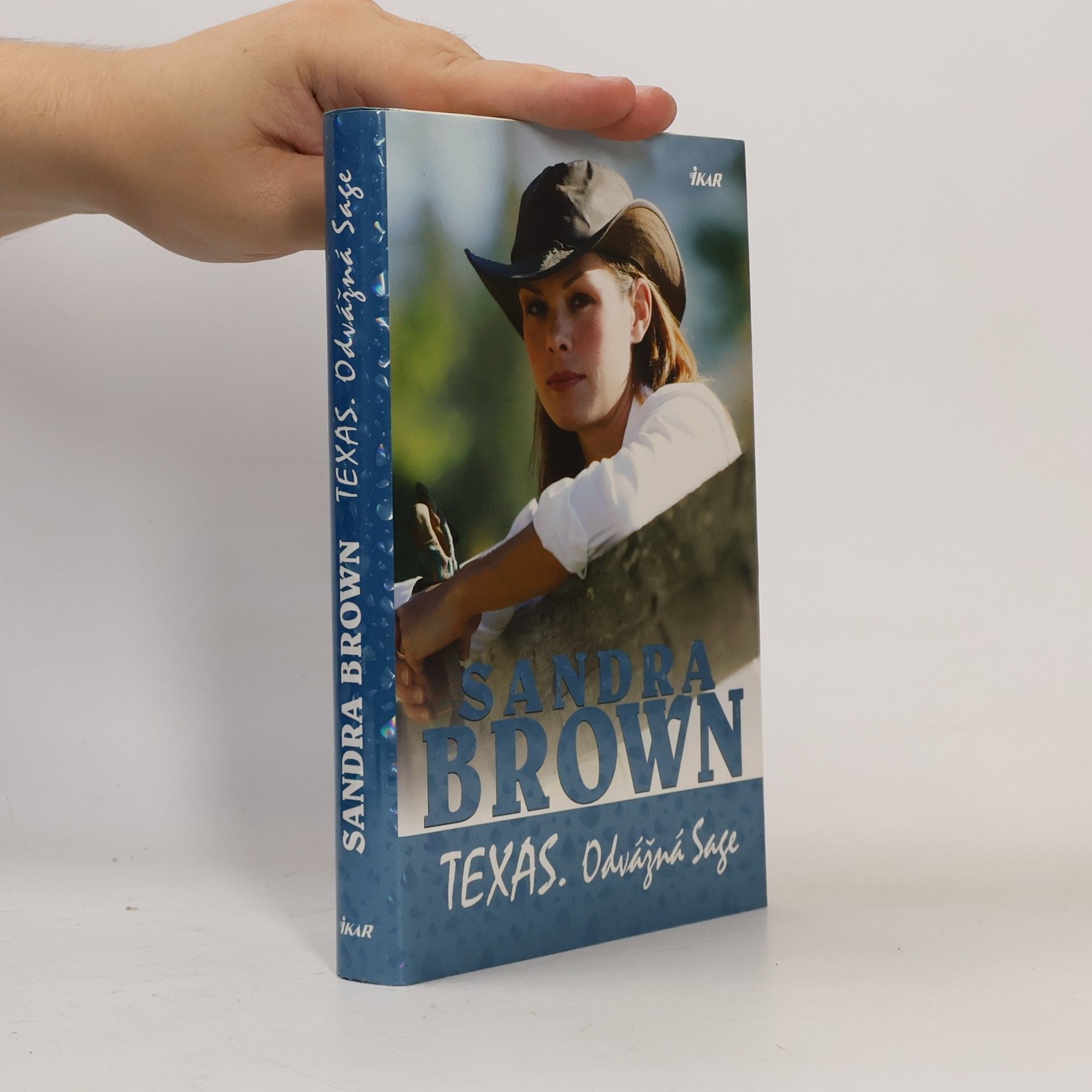 Sandra Brown Texas. Odvážná Sage