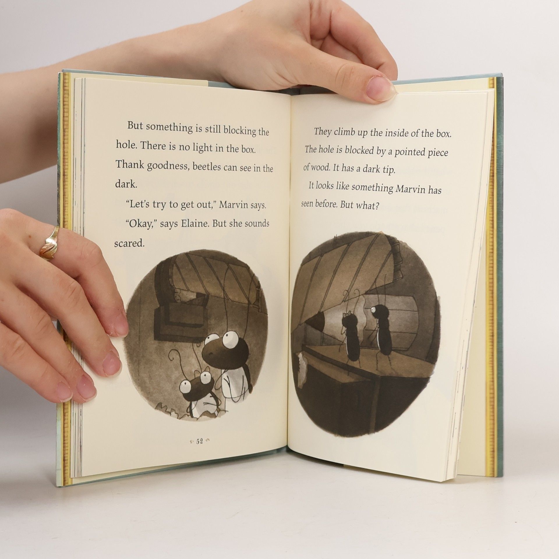 Kelly Murphy The Miniature World of Marvin & James