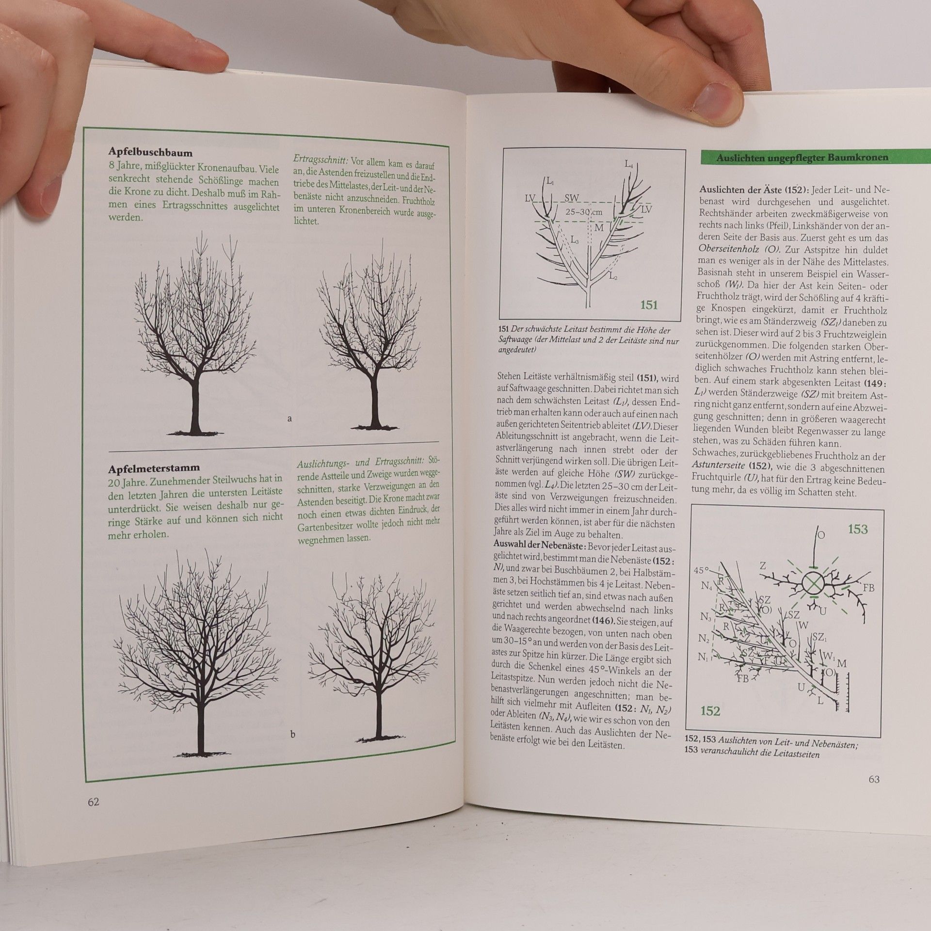 Paul Gerhard Wilhelm Obstgehölze sachgemäss schneiden