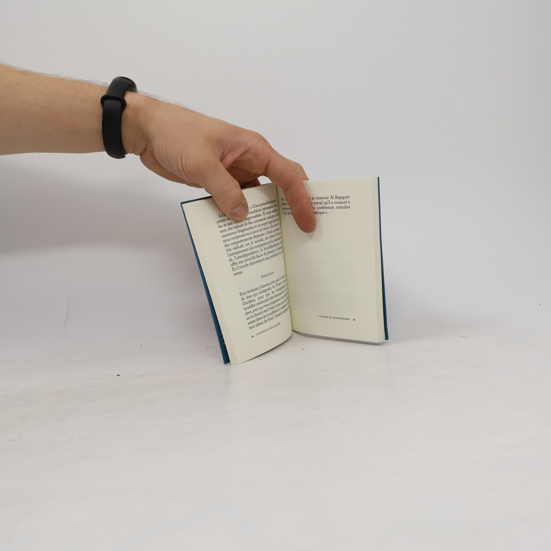Olivier Raurich L'avenir du bouddhisme et autres textes