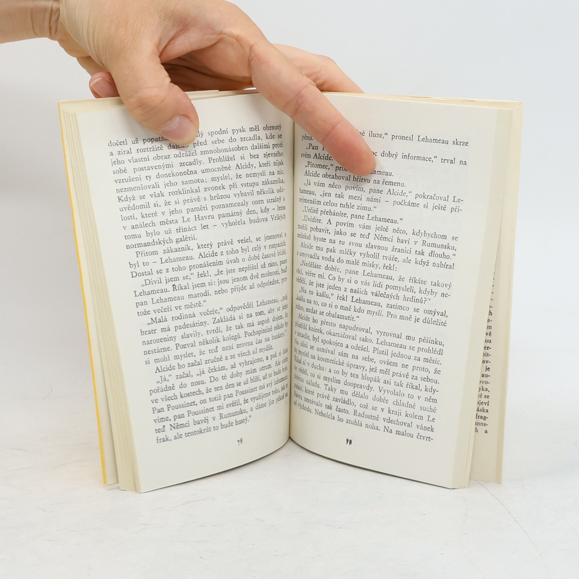 Raymond Queneau Tuhá zima