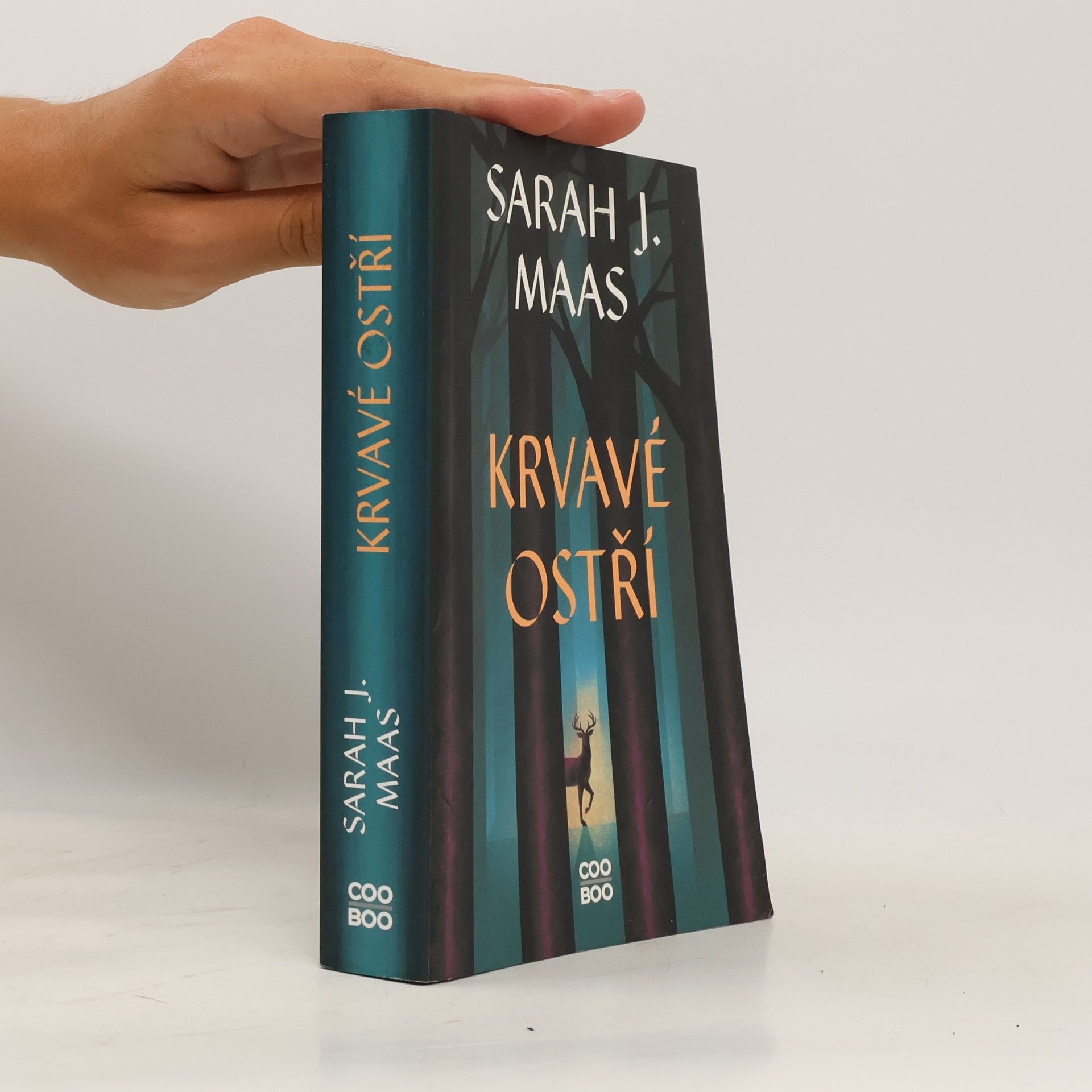 Sarah J. Maas Krvavé ostří