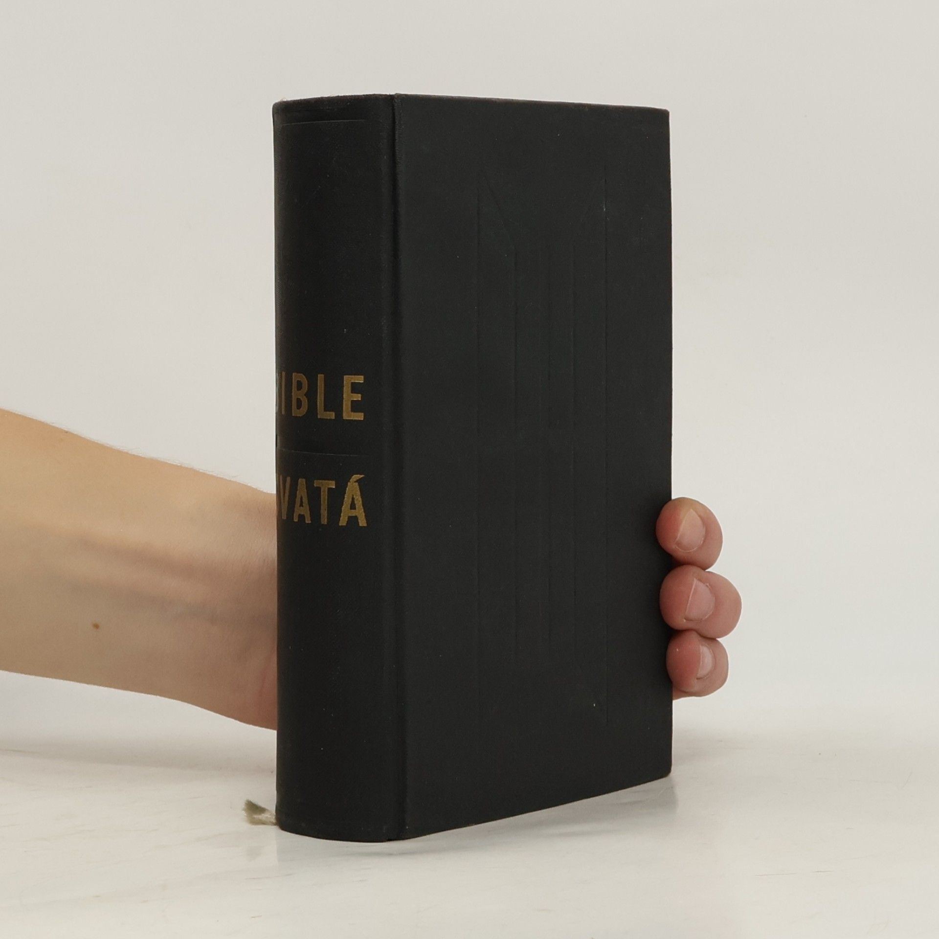 Autorenkollektiv Biblí svatá aneb Všecka svatá písma Starého i Nového zákona