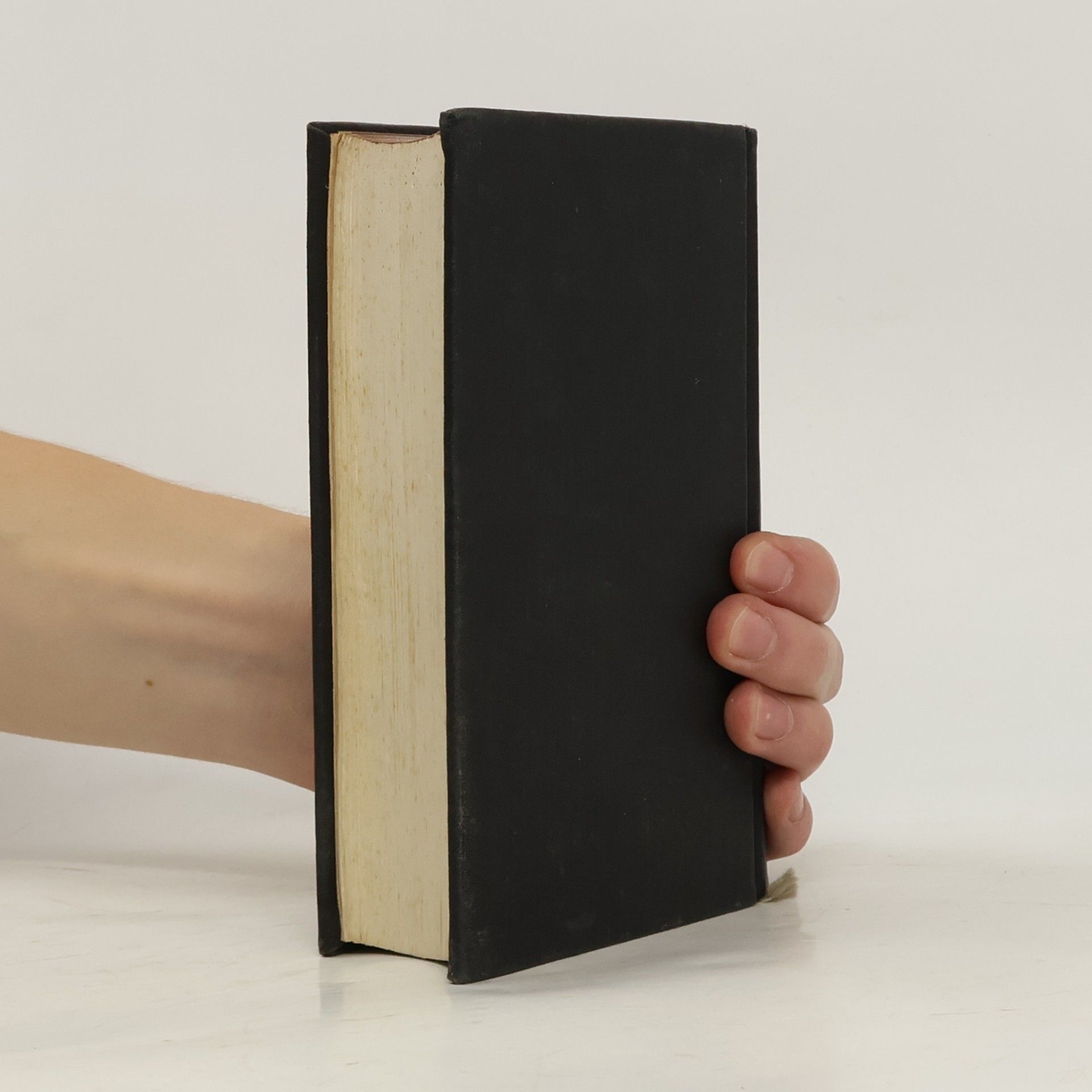 Kolektiv autorů Biblí svatá aneb Všecka svatá písma Starého i Nového zákona
