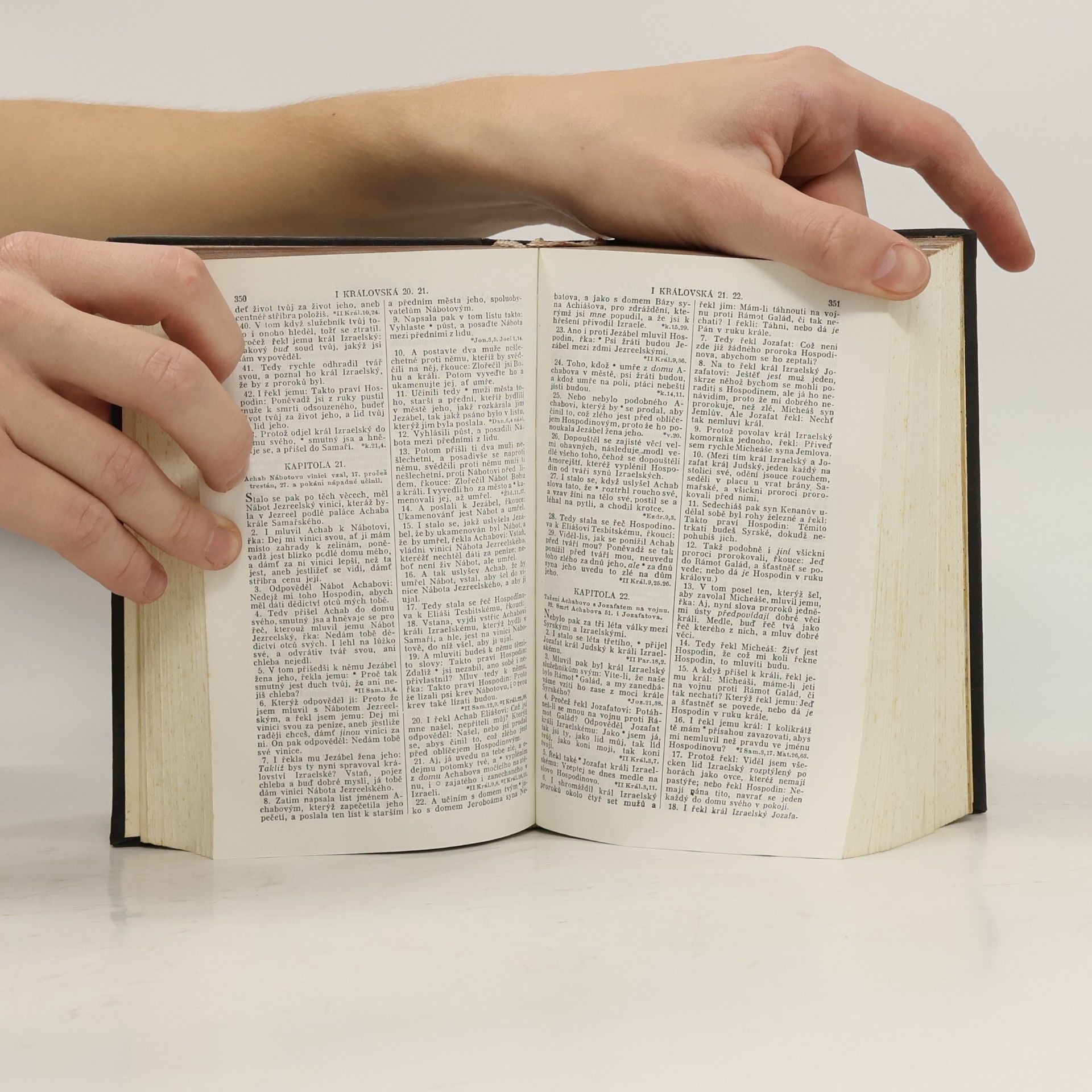 Kolektiv autorů Biblí svatá aneb Všecka svatá písma Starého i Nového zákona