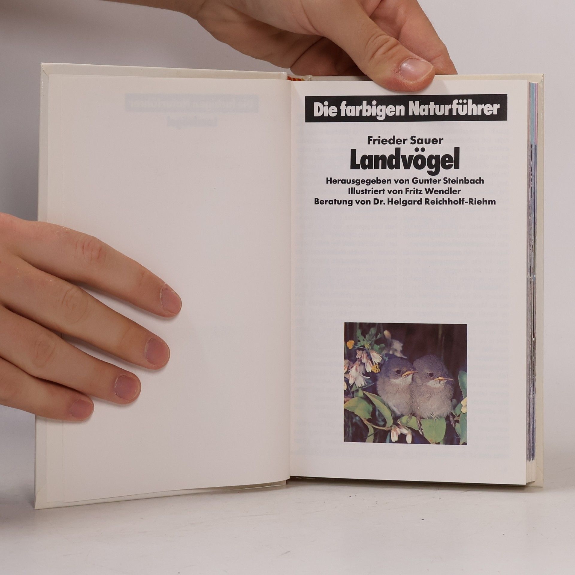 Autorenkollektiv Landvögel