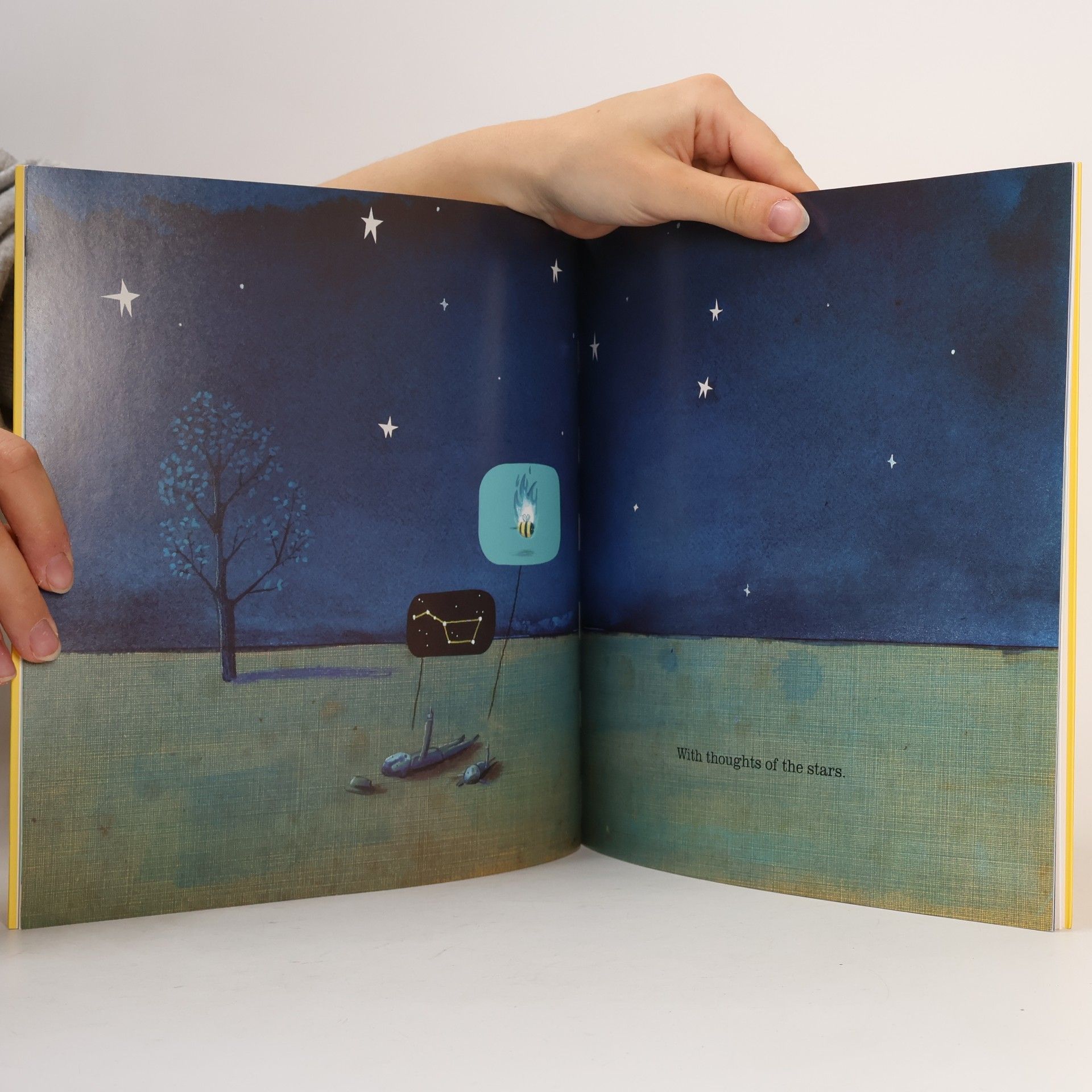 Oliver Jeffers The Heart and the Bottle