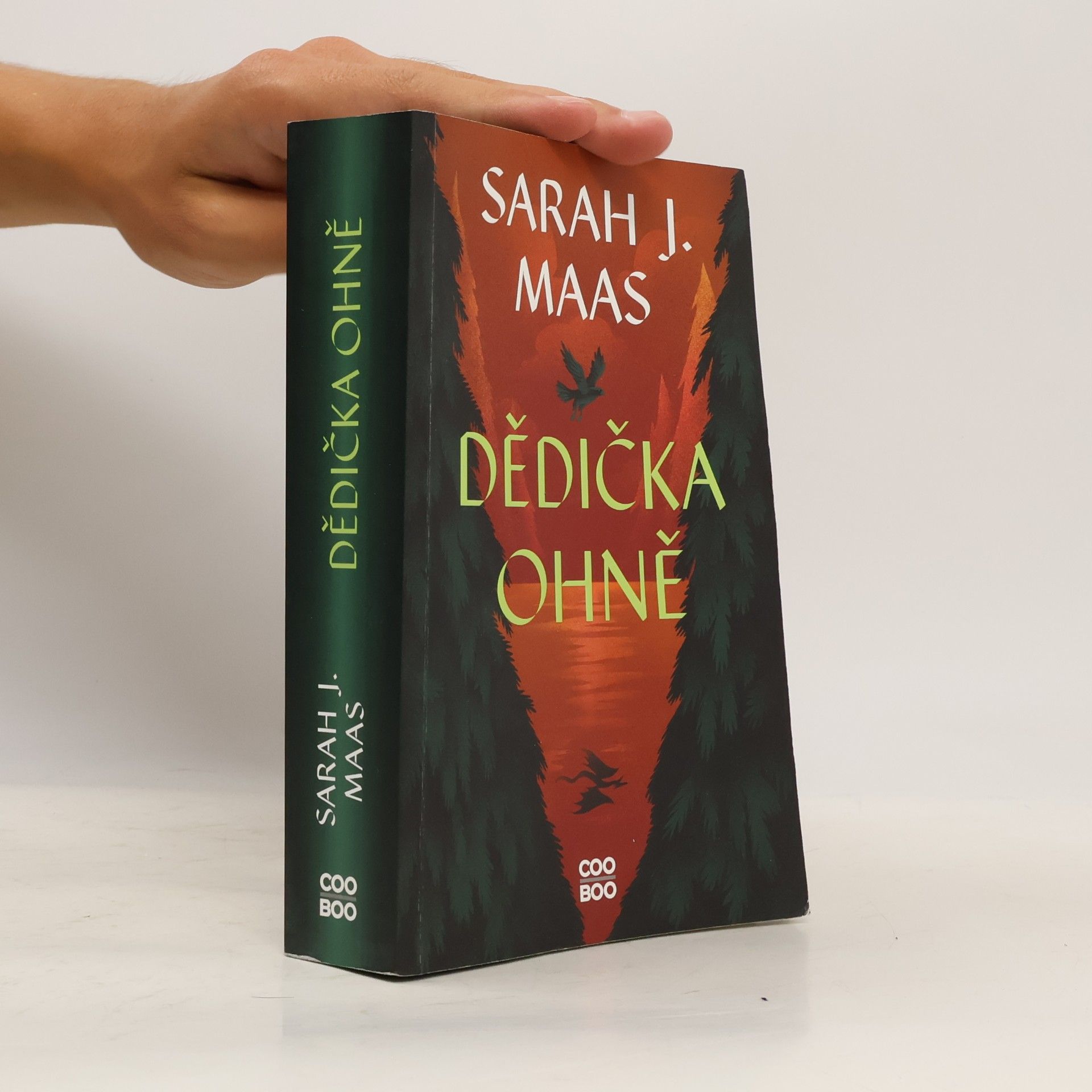 Sarah J. Maasová Dědička ohně