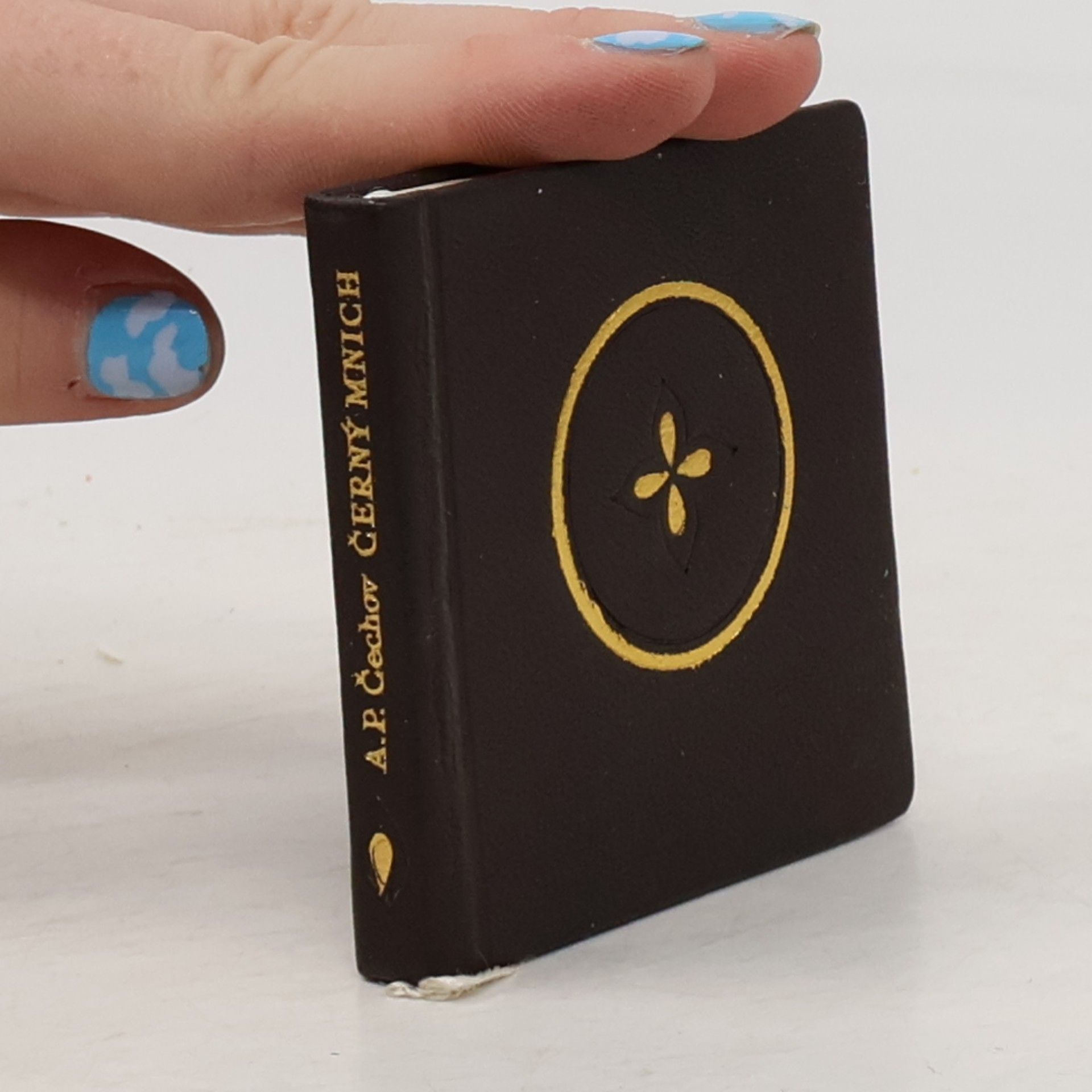 Anton Chekhov Černý mnich