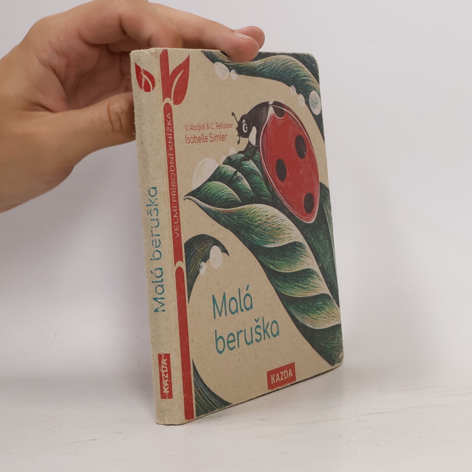 Isabelle Simler Malá beruška