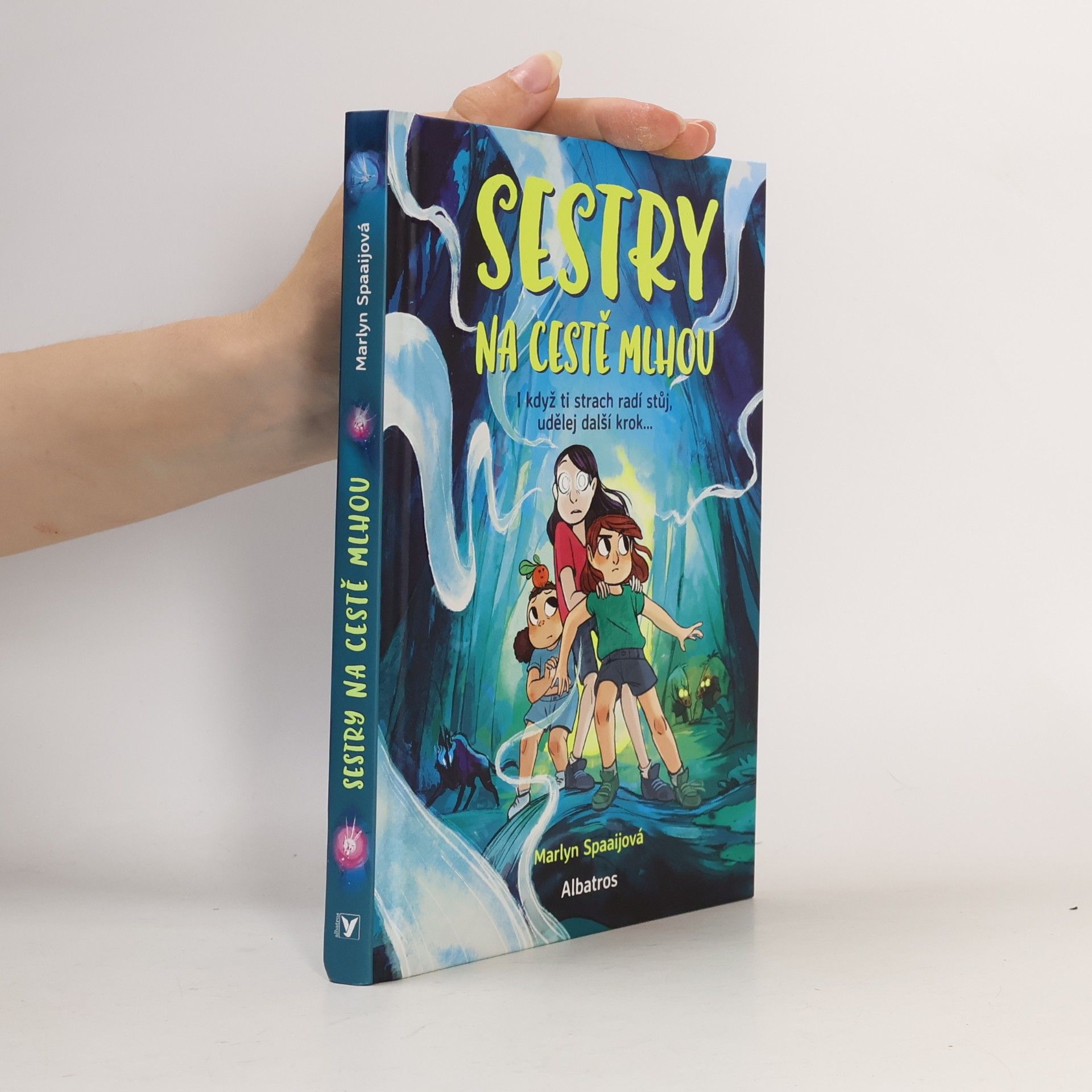 Marlyn Spaaij Sestry na cestě mlhou