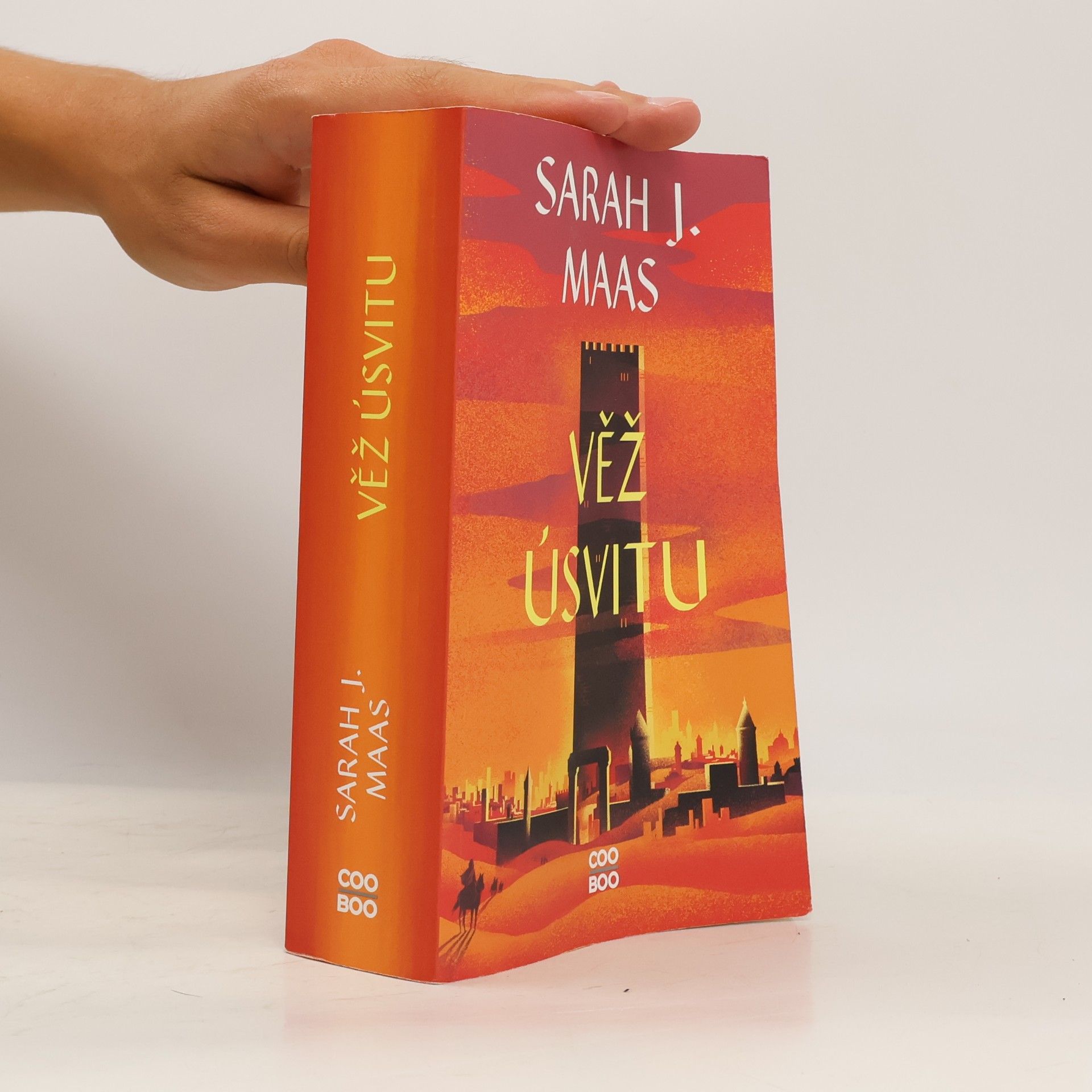 Sarah J. Maas Věž úsvitu