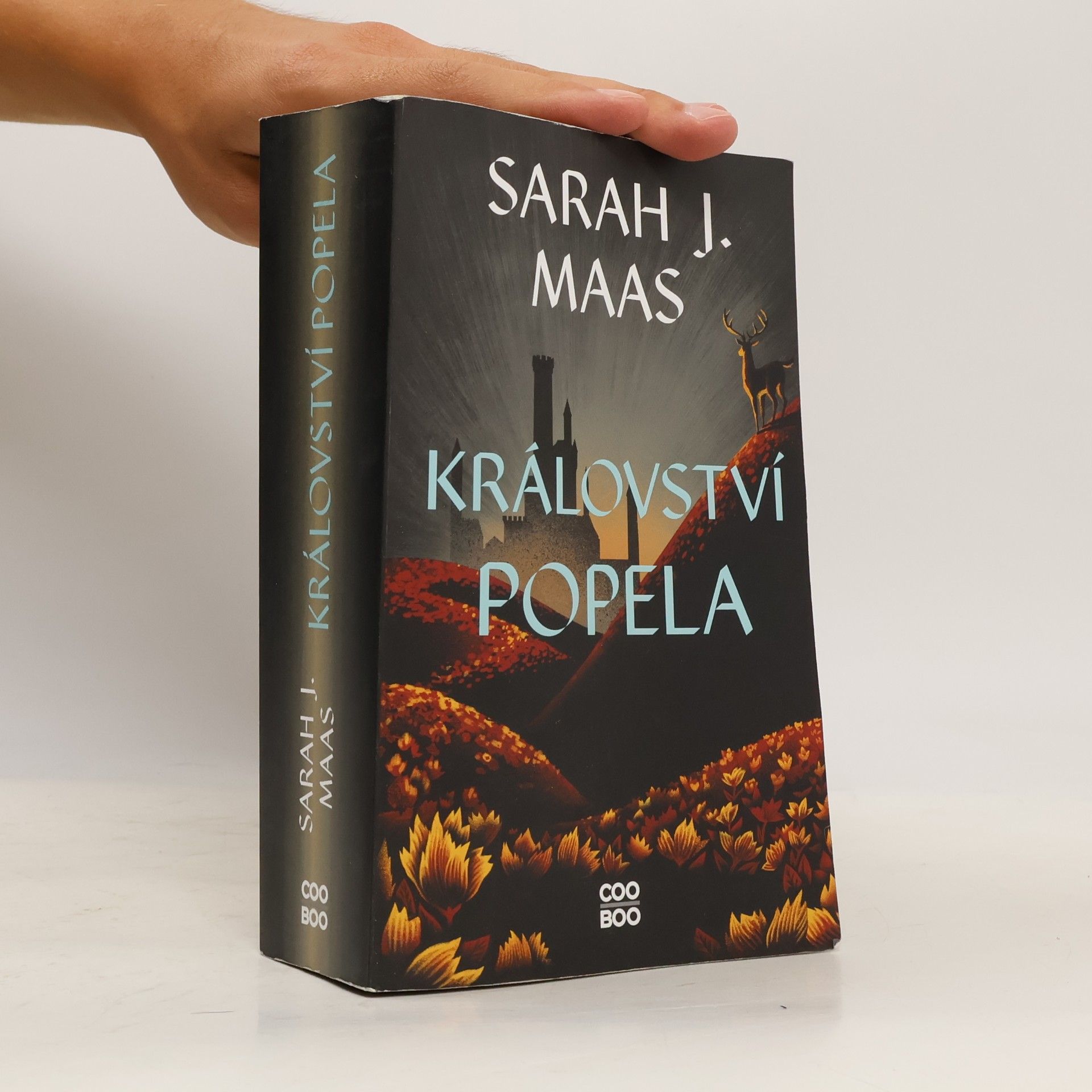 Sarah J. Maas Království popela