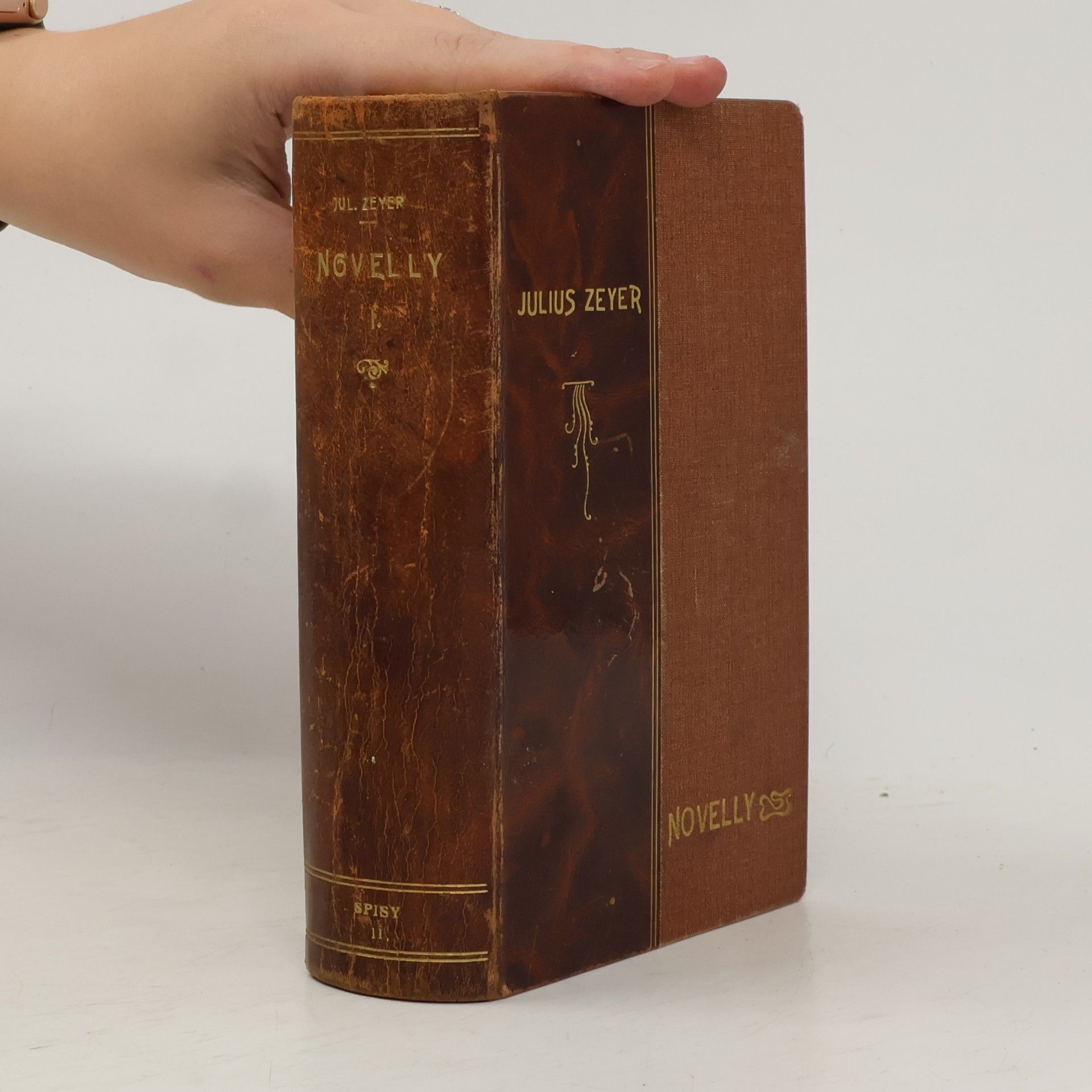 Julius Zeyer Novelly I.