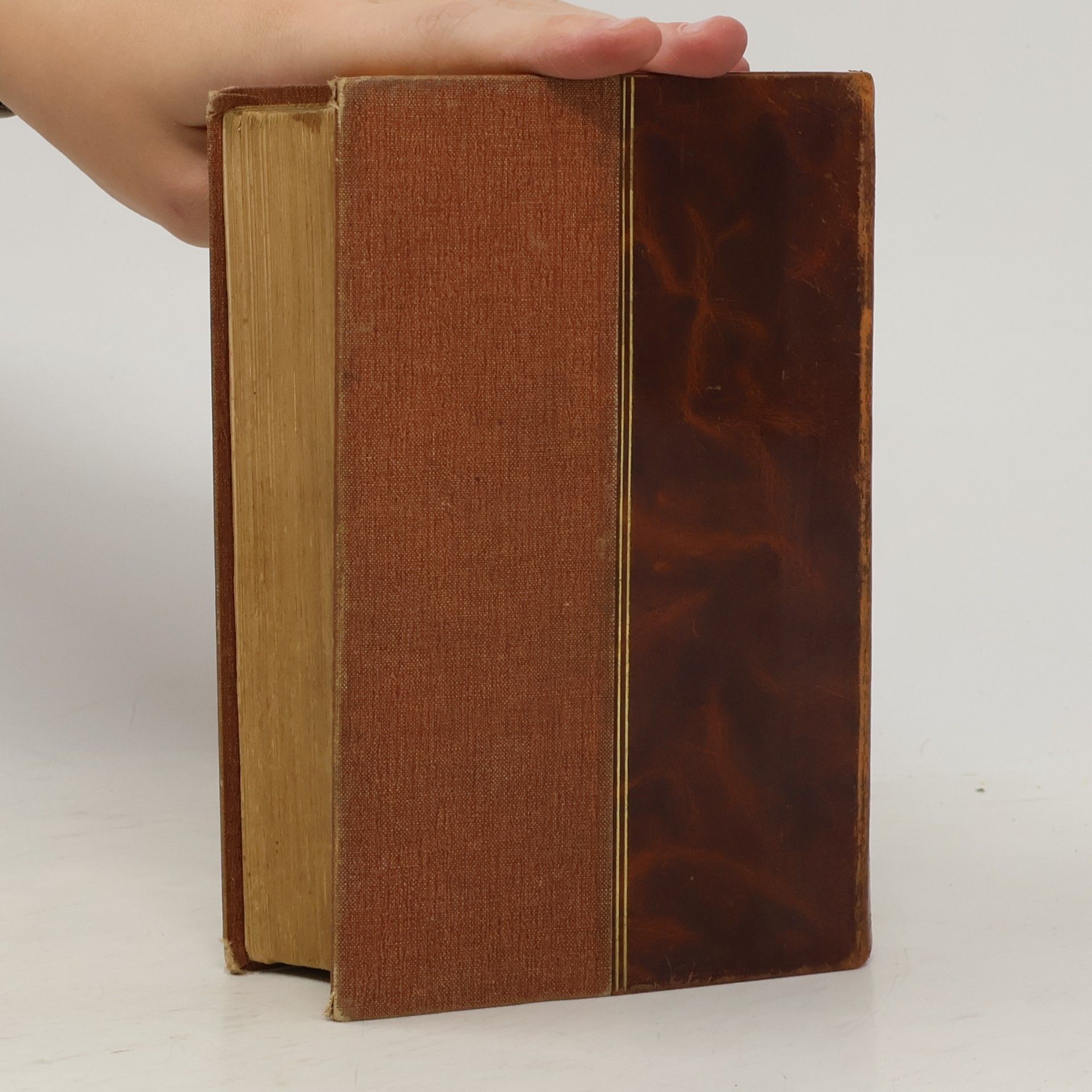 Julius Zeyer Novelly I.