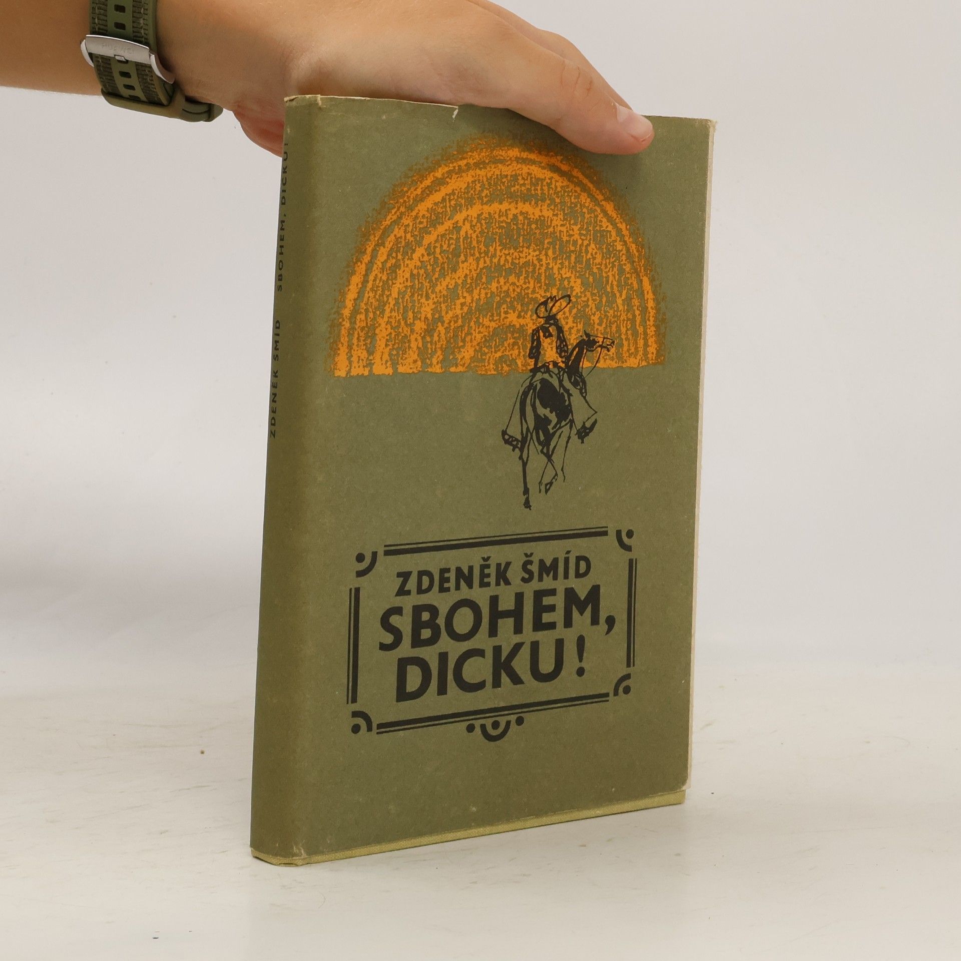 Zdeněk Šmíd Sbohem, Dicku!