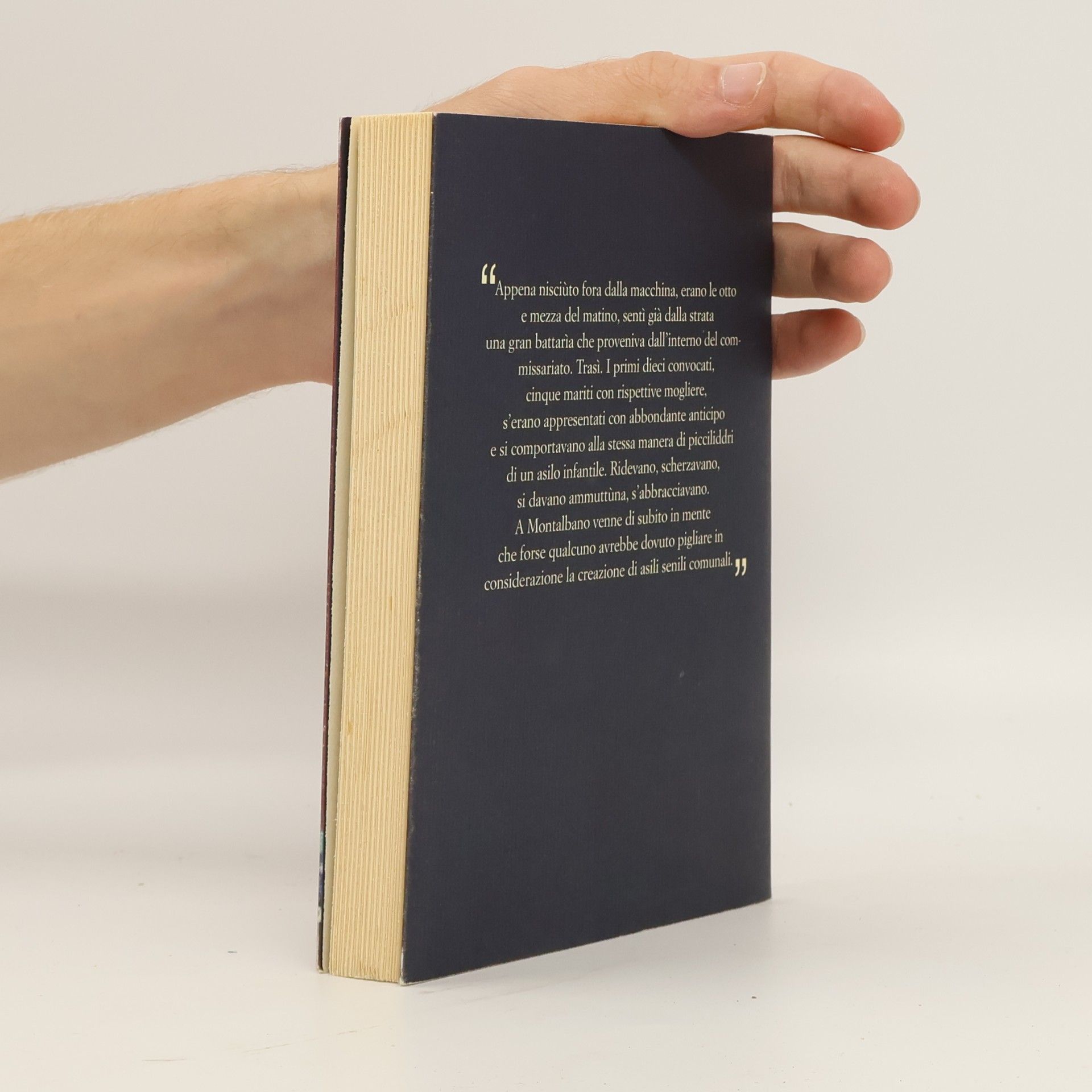 Andrea Camilleri La gita a Tindari
