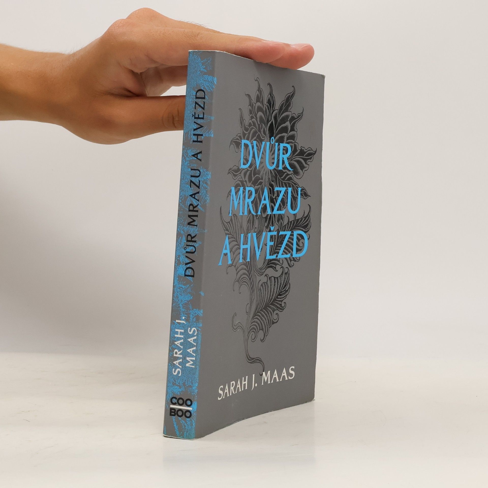Sarah J. Maas Dvůr mrazu a hvězd
