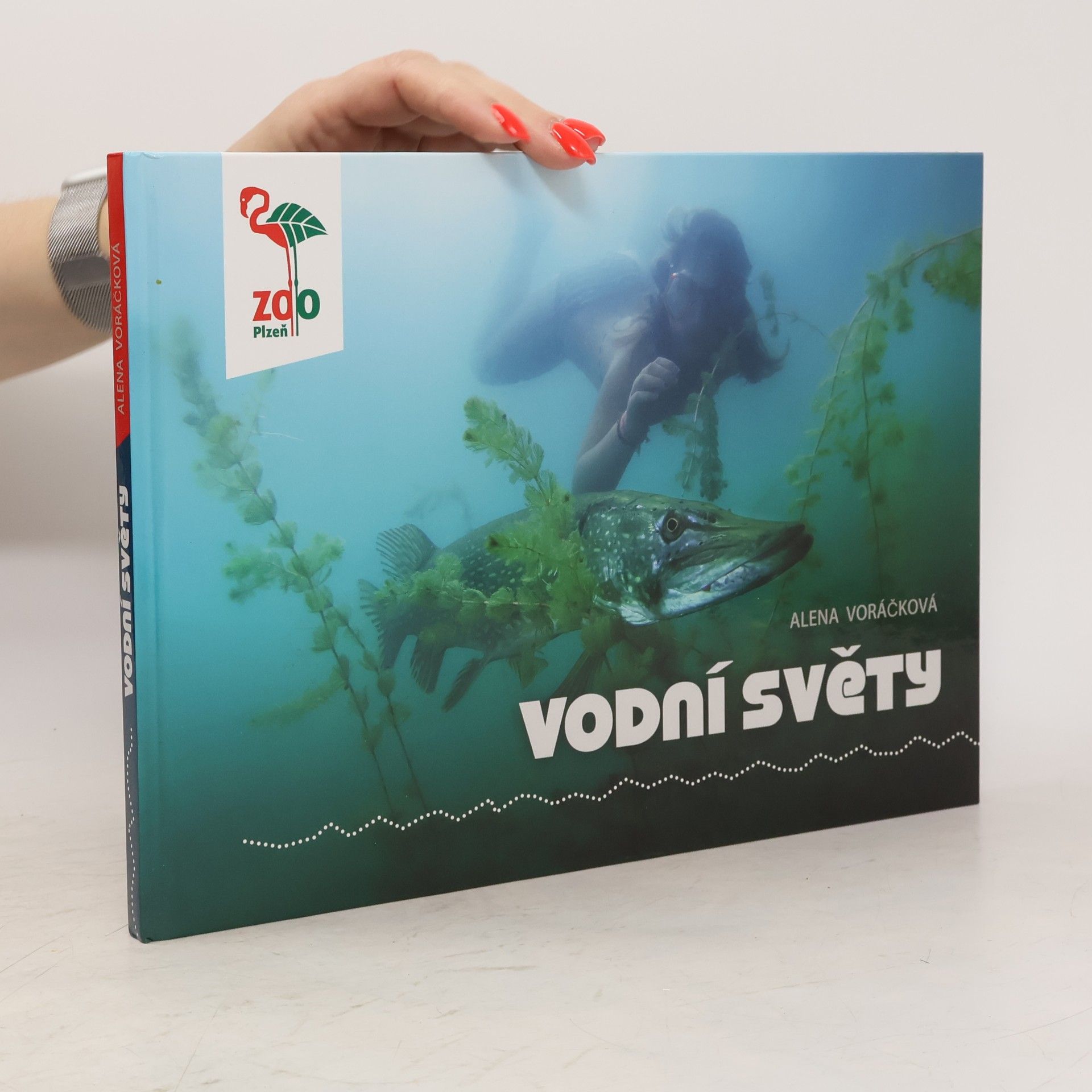 Alena Voráčková Vodní světy