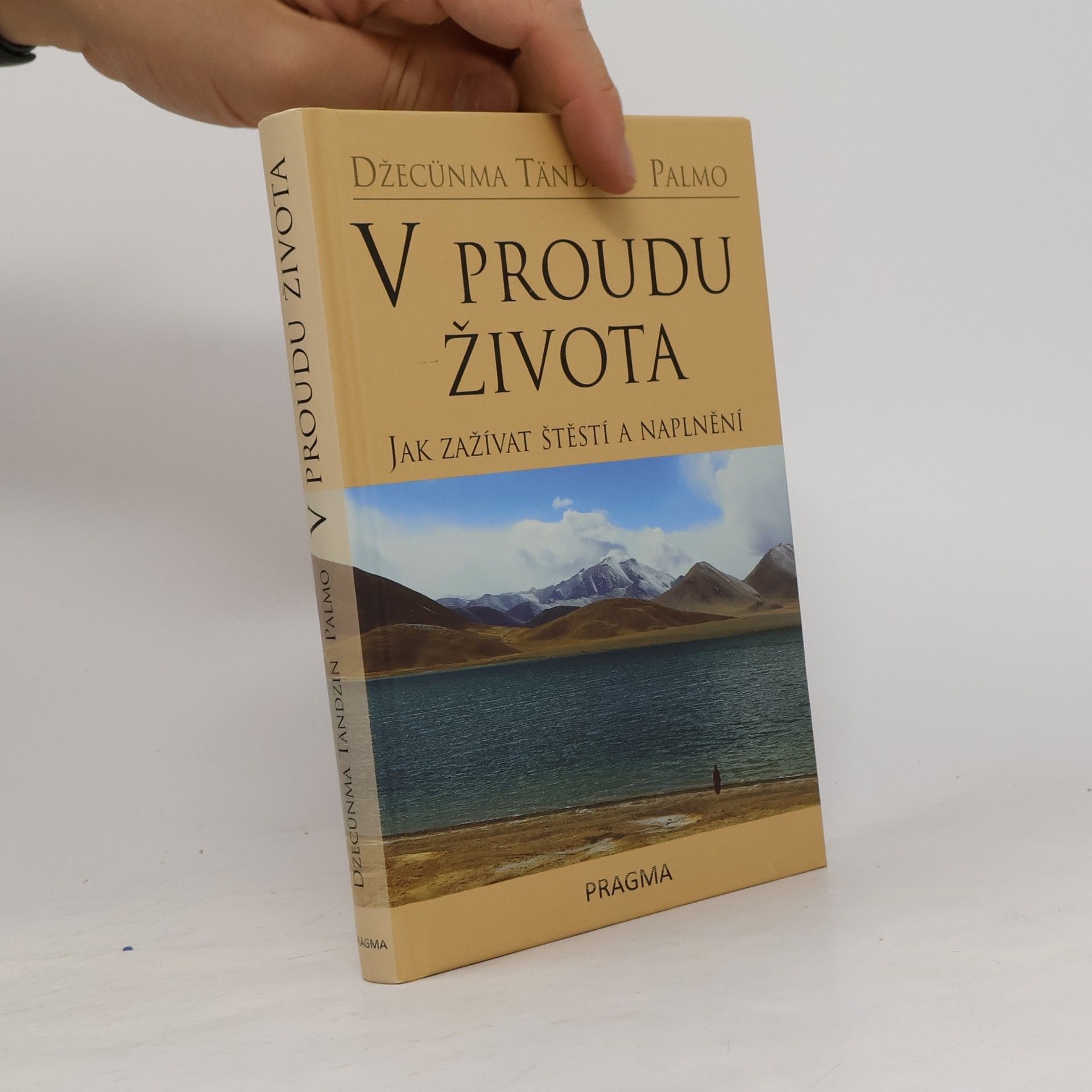 Palmo Tenzin V proudu života. Jak zažívat štěstí a naplnění