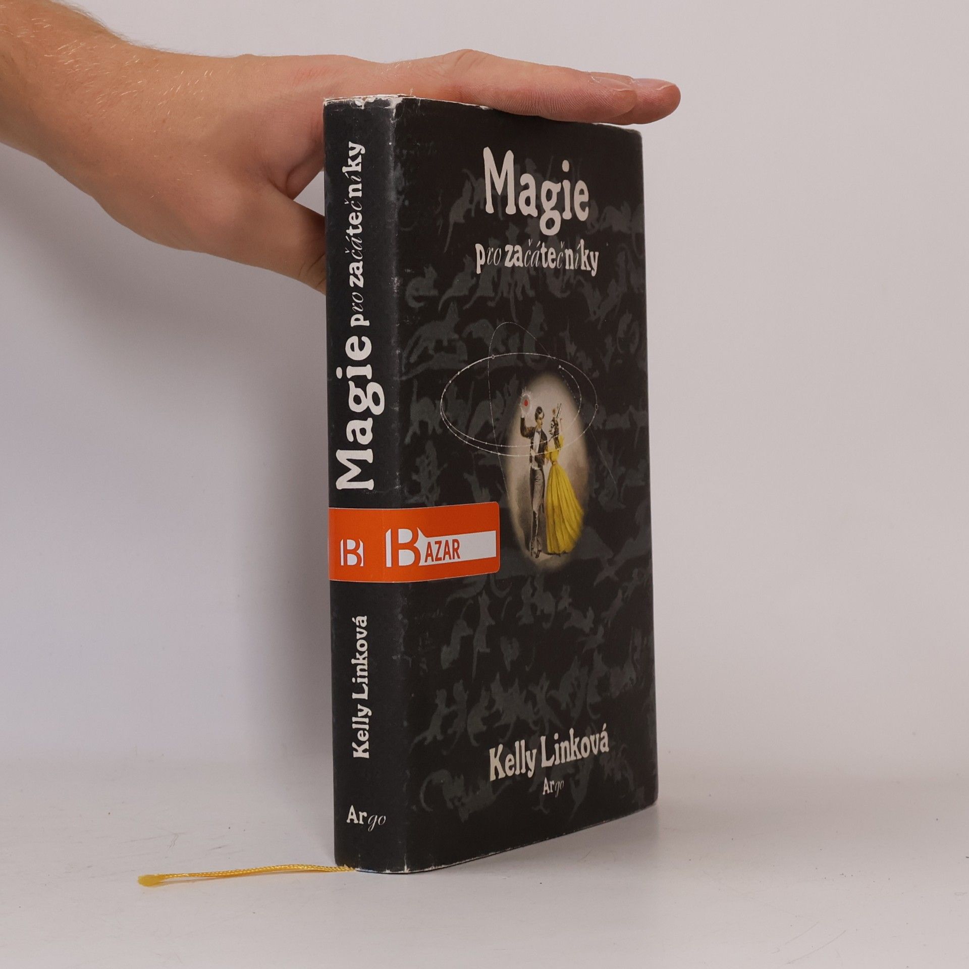Kelly Link Magie pro začátečníky